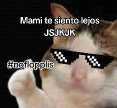 @quakitty❤