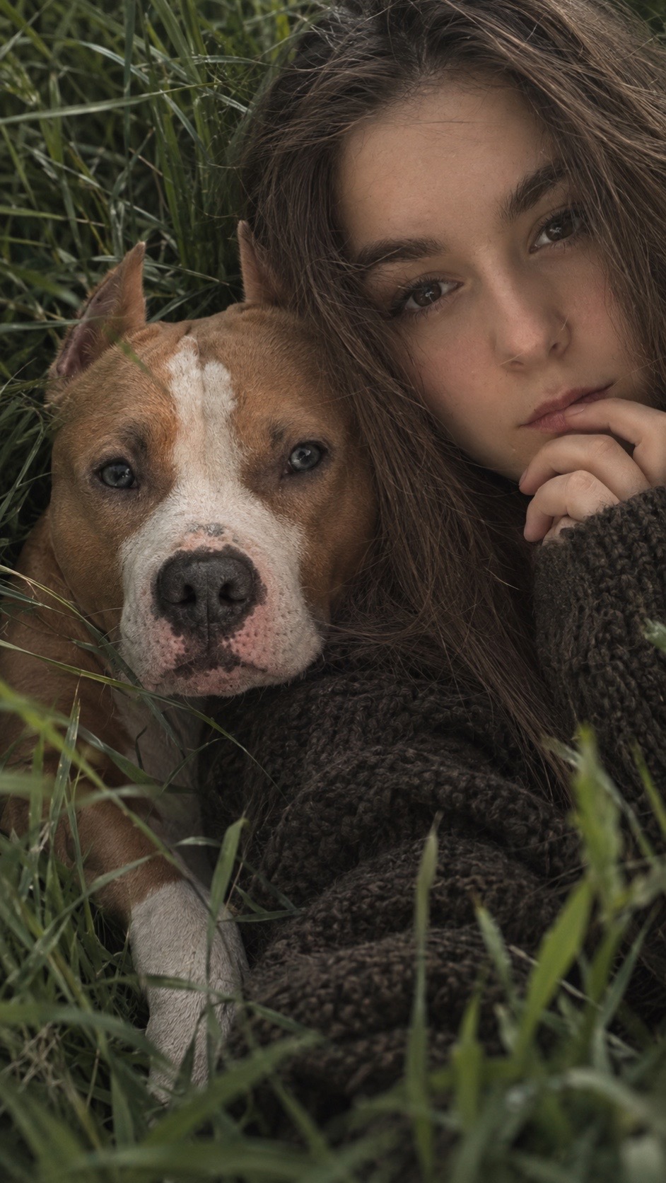 @🐾 ʀᴀɢɴᴀʀ sᴛᴀꜰꜰ 🐾