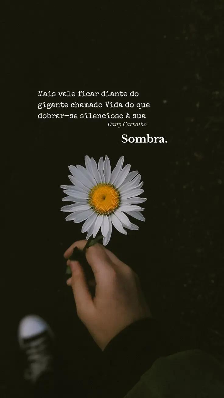 @Dany Carvalho✍️