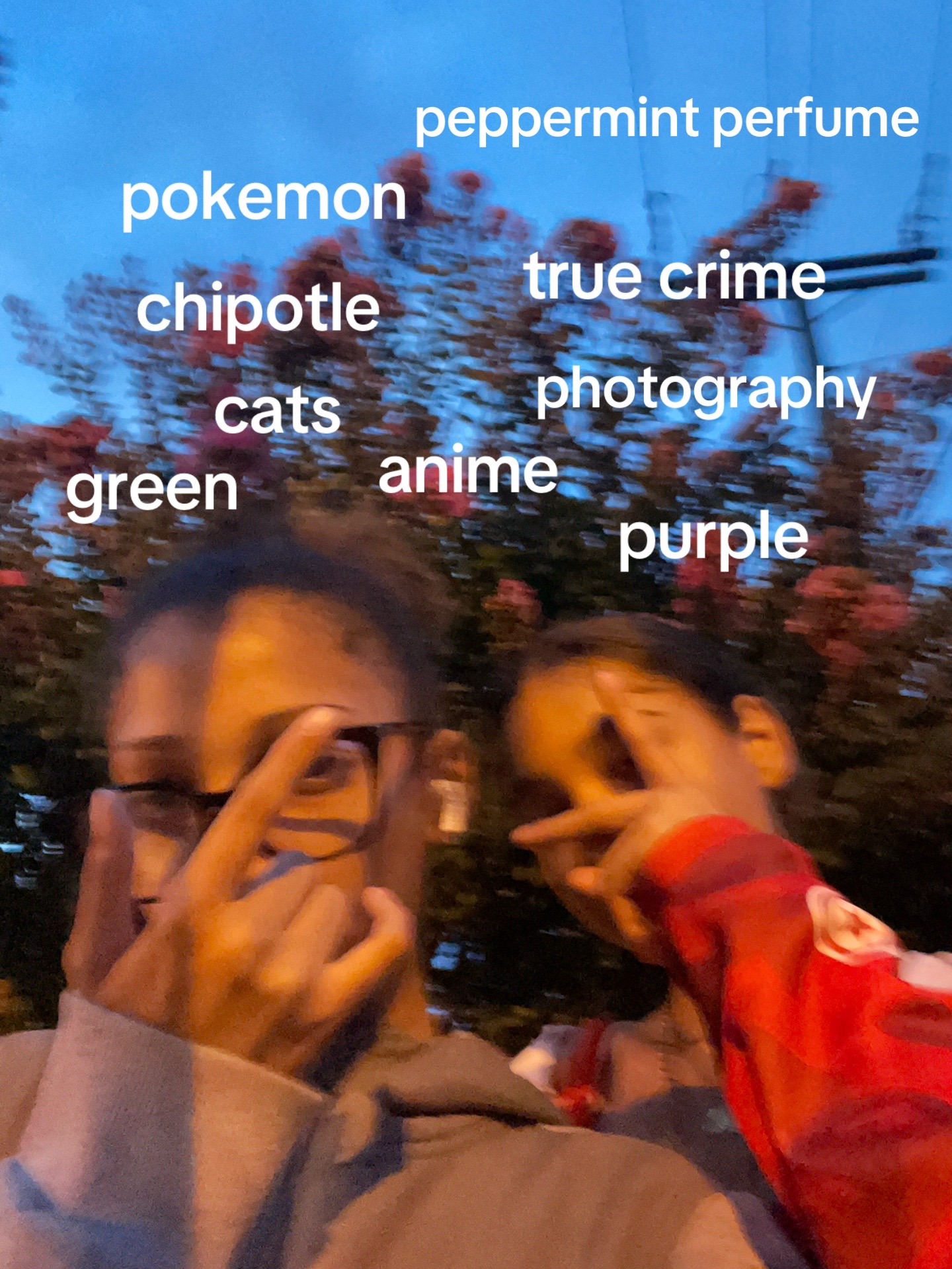 @kawaii king