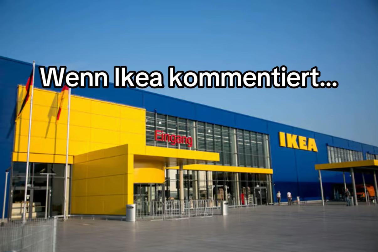 @Baron of Memes – Daily Laughs