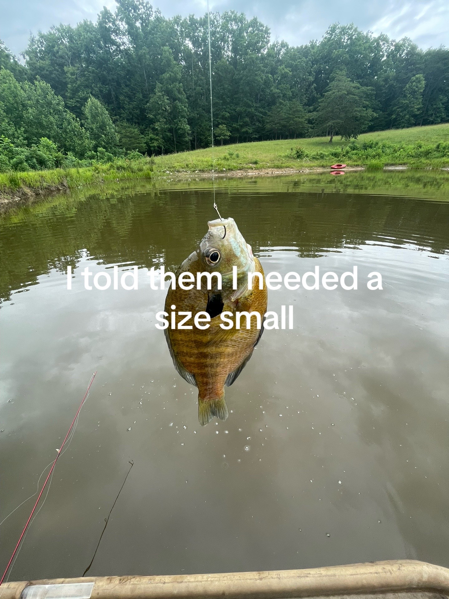 @K2️⃣