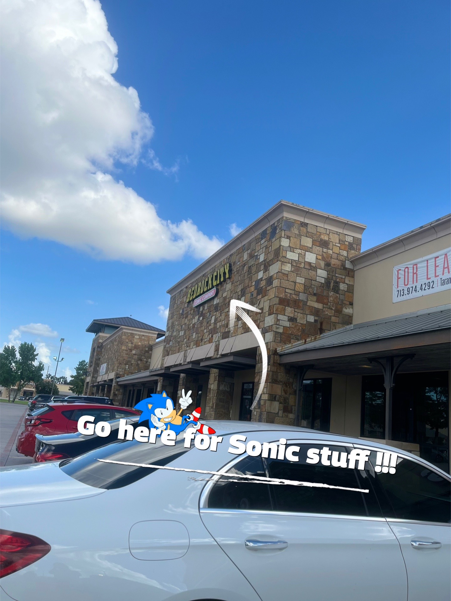 @Lizzy Hedgehog