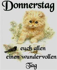 @Bernd ku