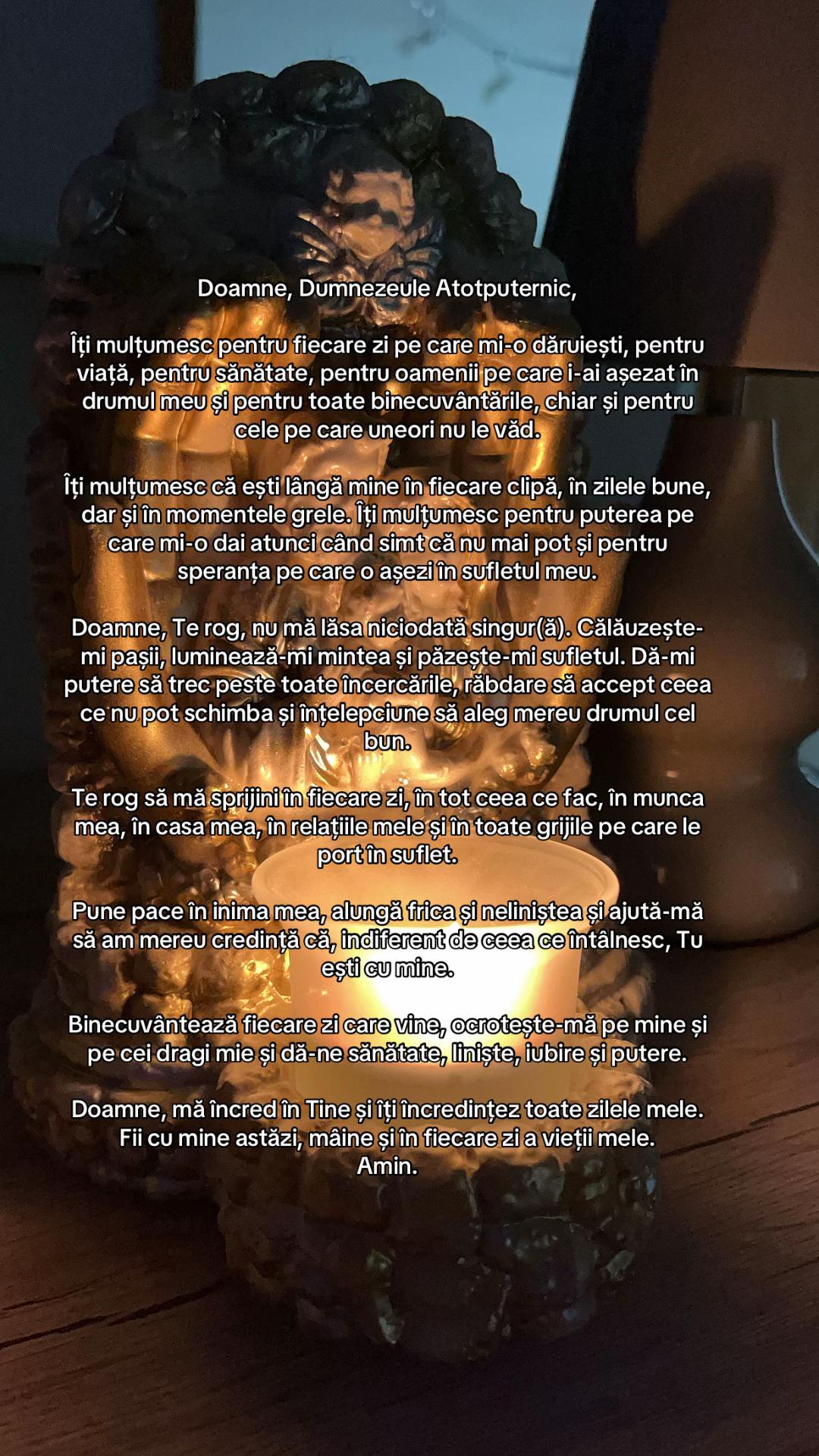 @Gärtner Cosmina