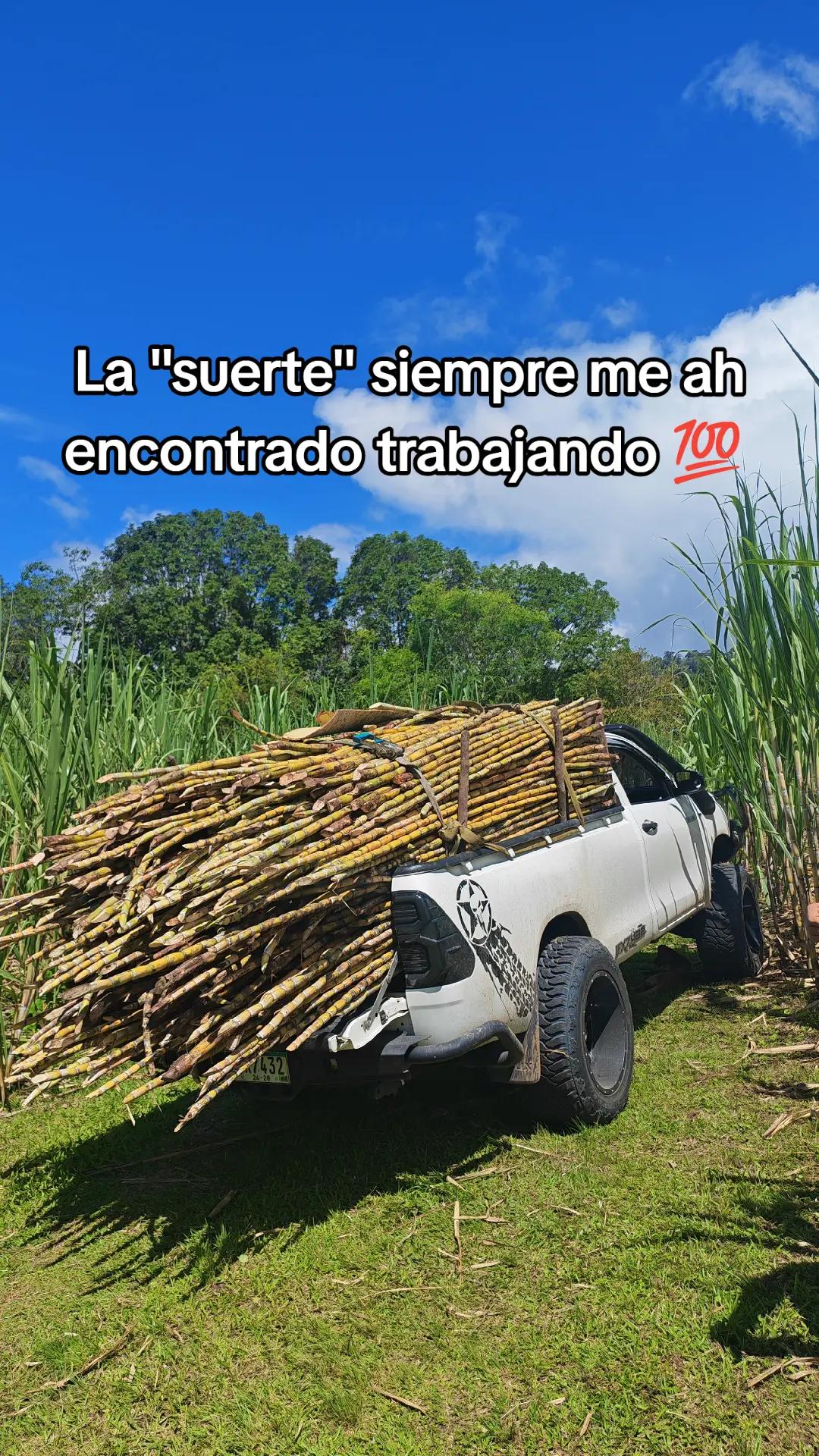 @Luchito98🚜