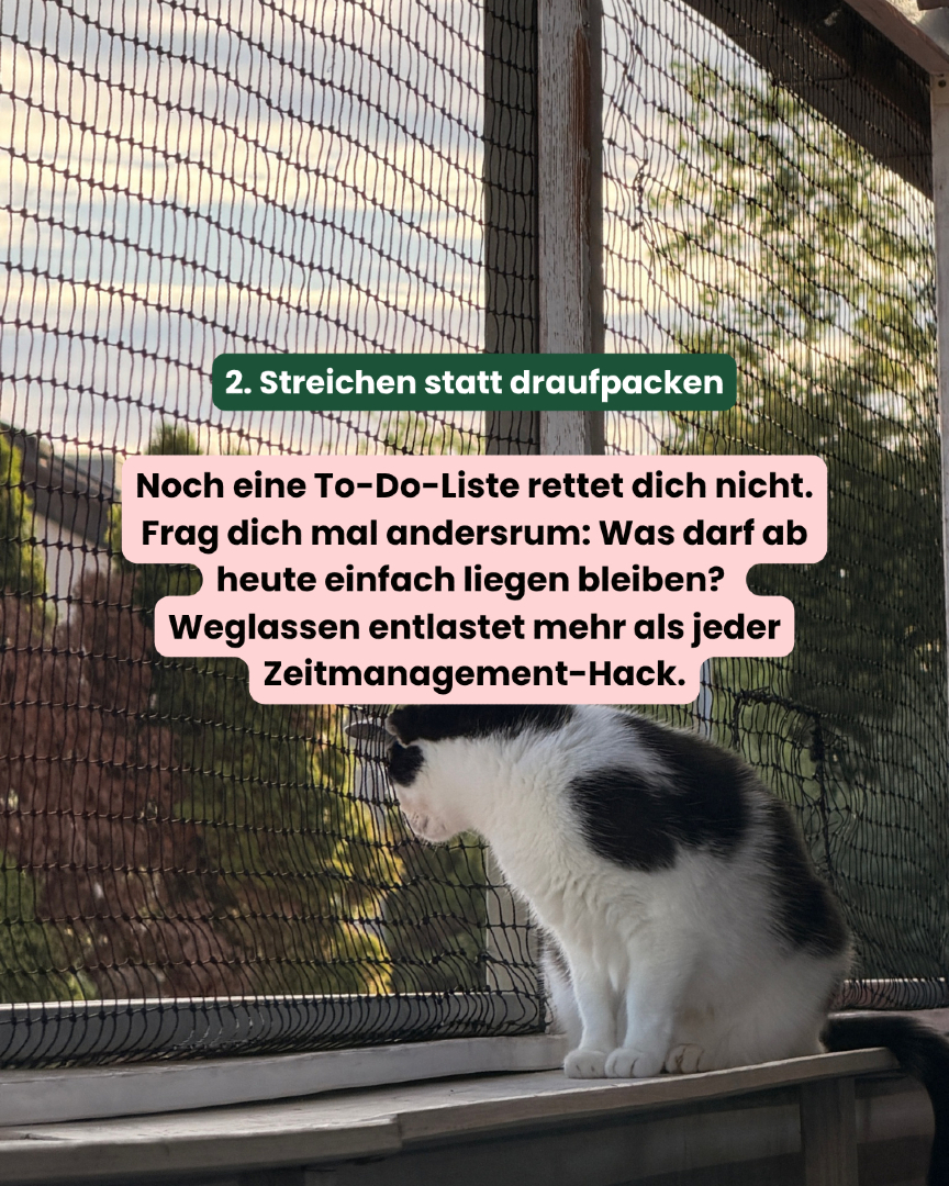 @Lisa | Ausbildungstipps