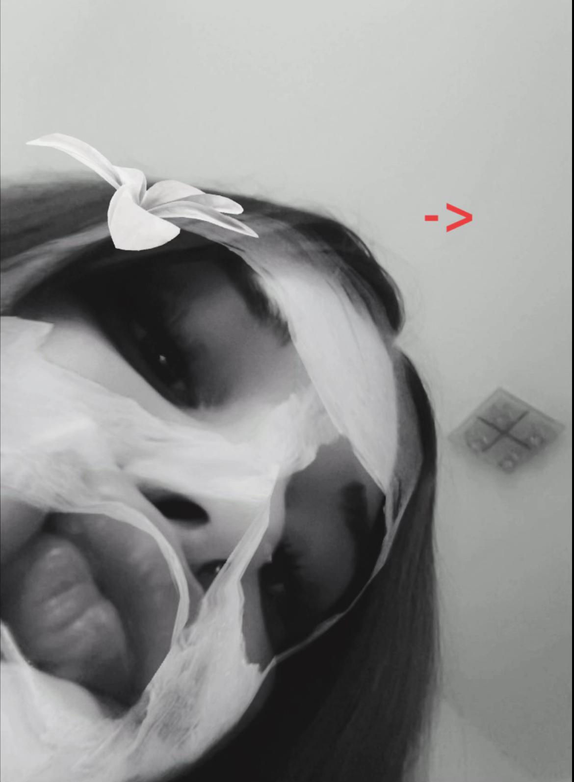 @🦋francesca🦋