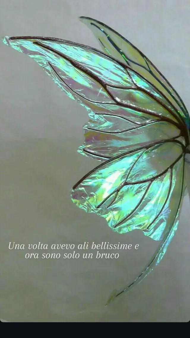@SILVIA💙💙