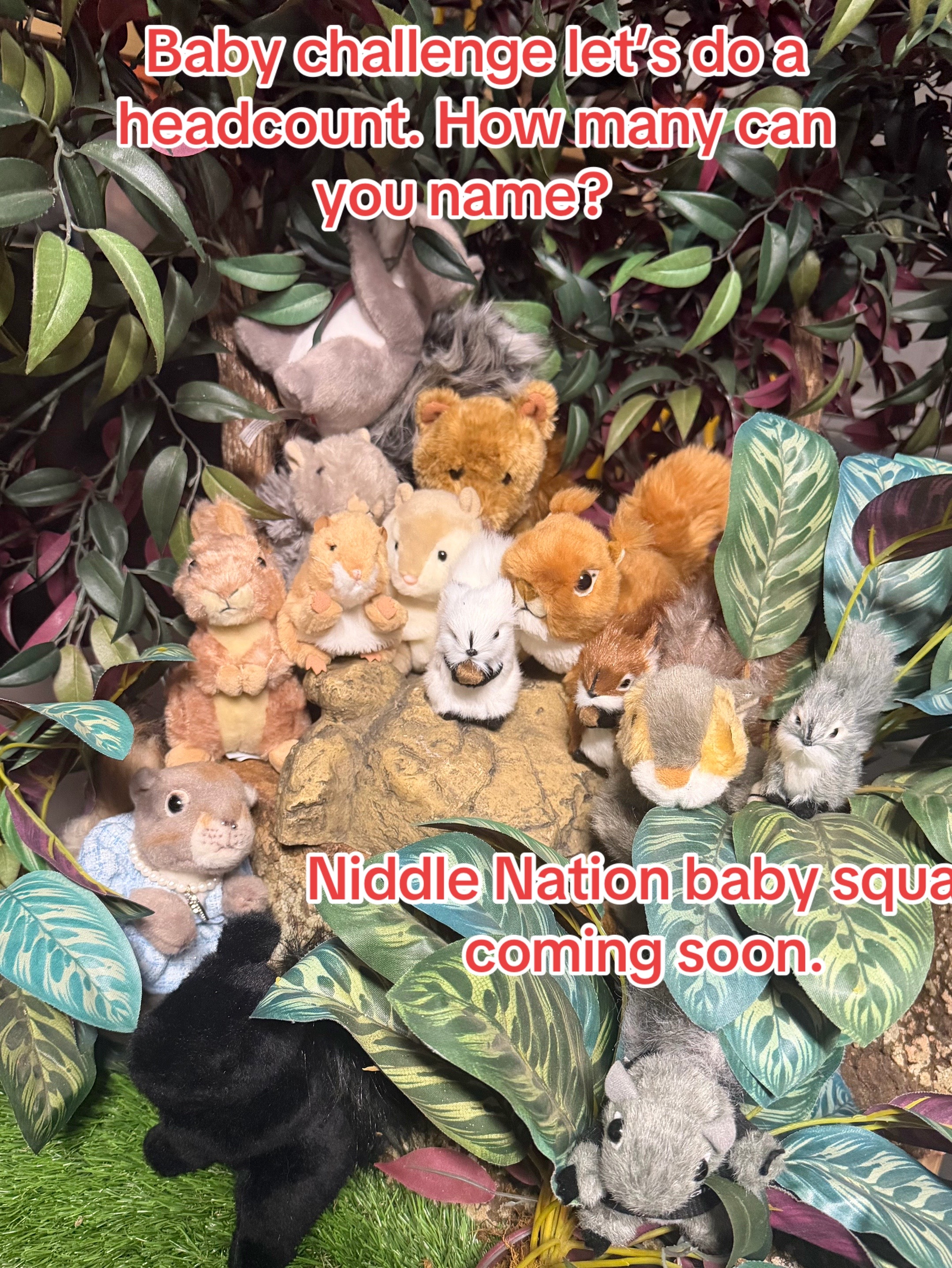 @djniddle