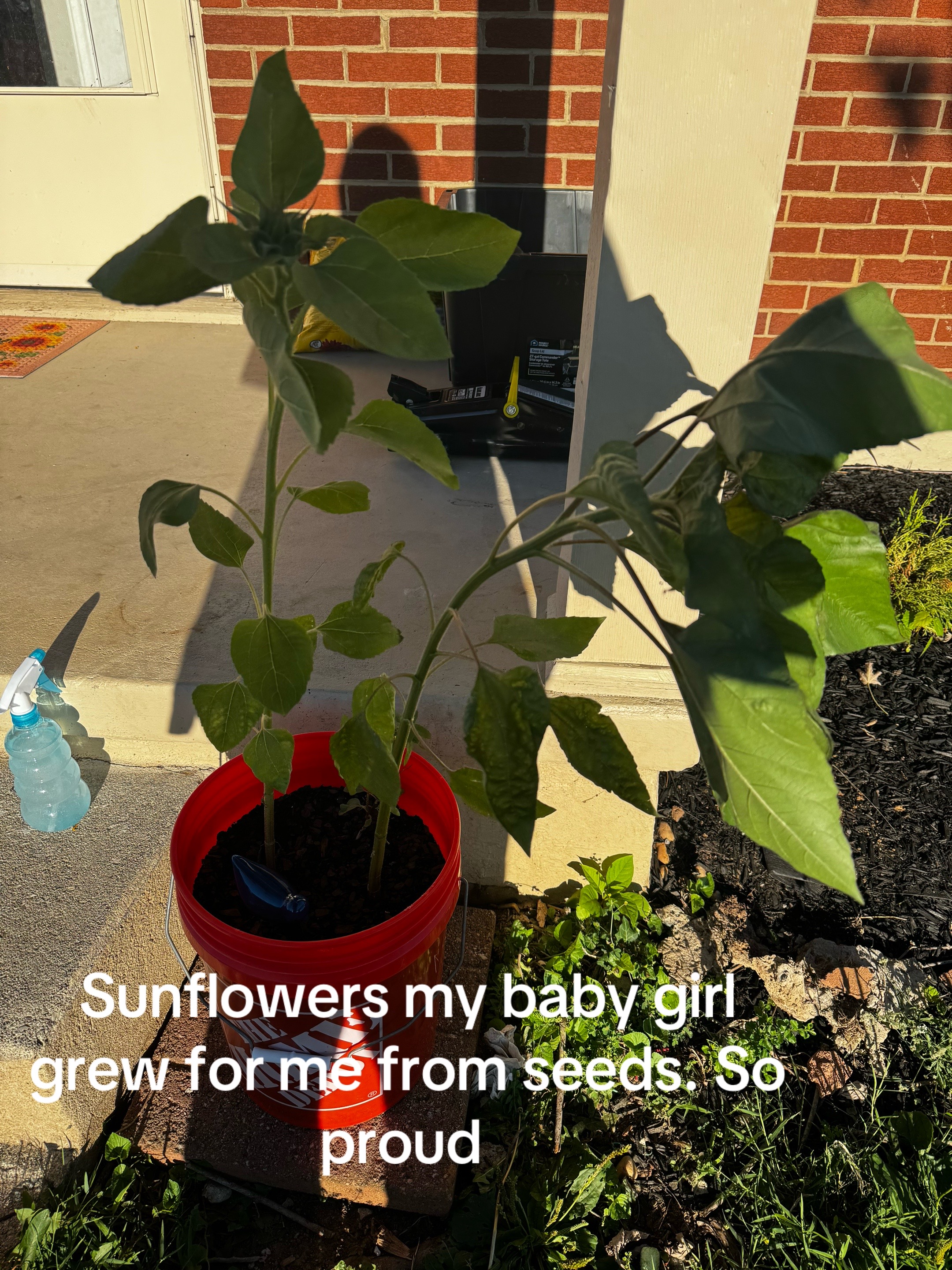 @colorblindflower