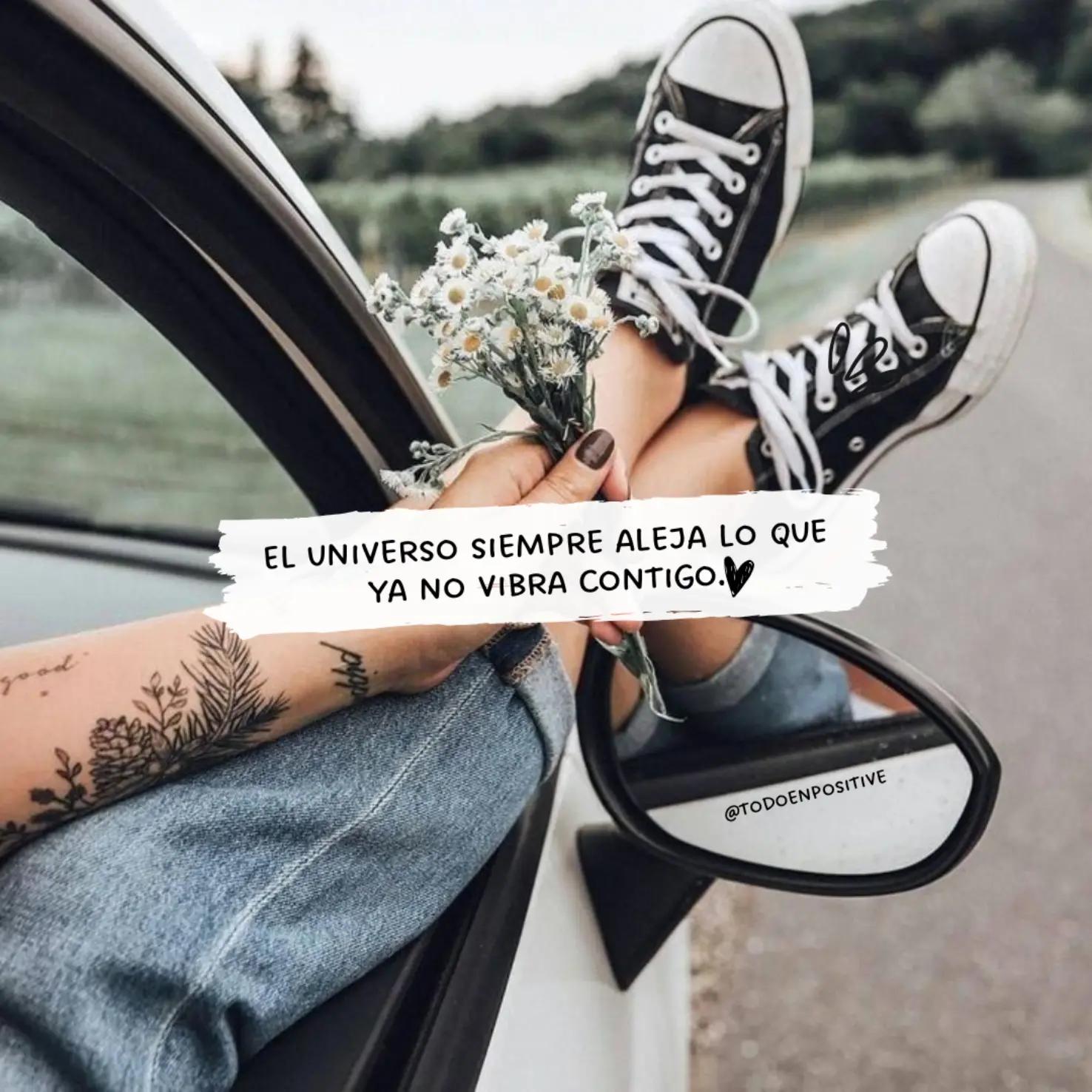 @Todo en Positivo🌻