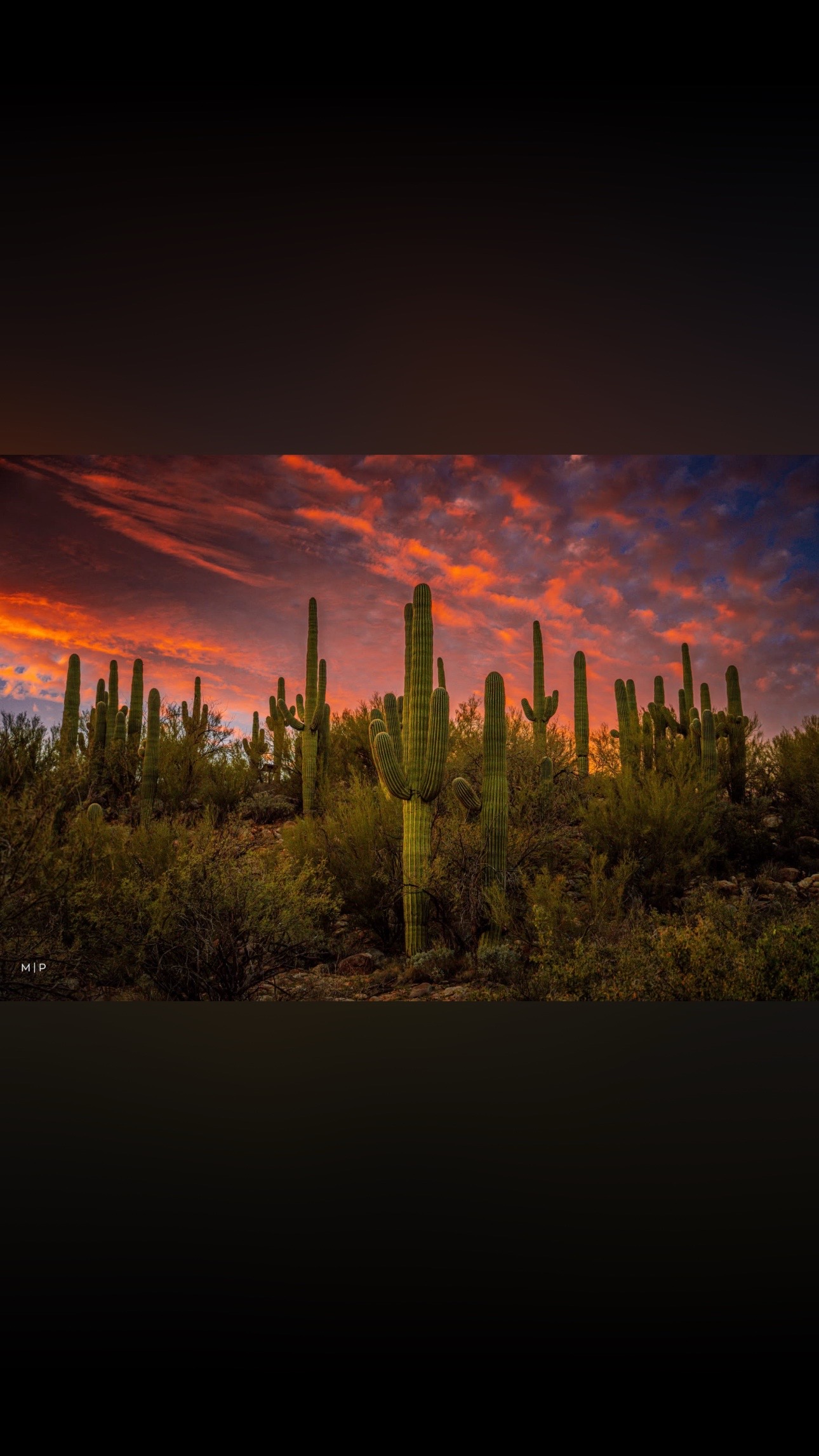 @☀️🌵Arizona 🌵 ☀️