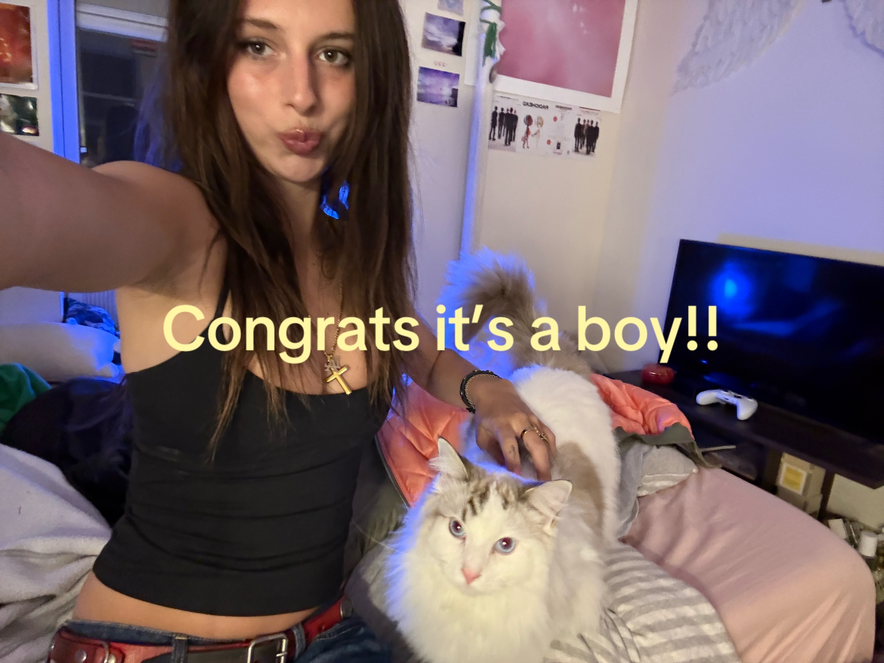 @stellareynolds0