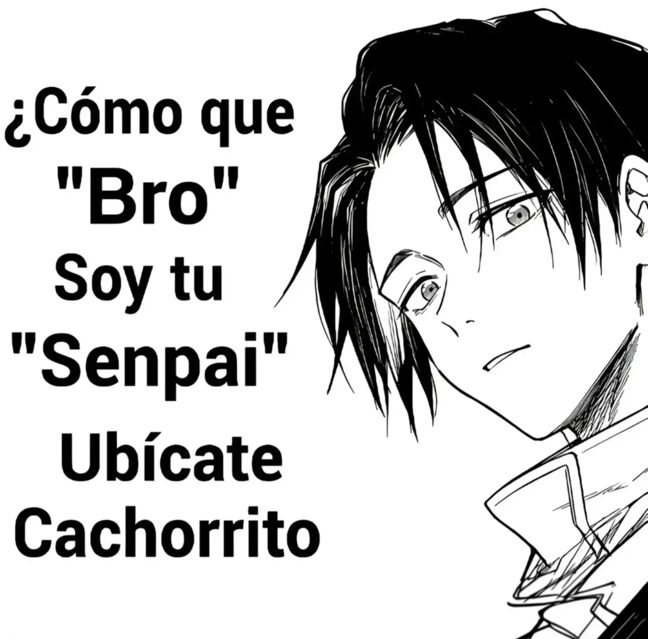 @Nov1po