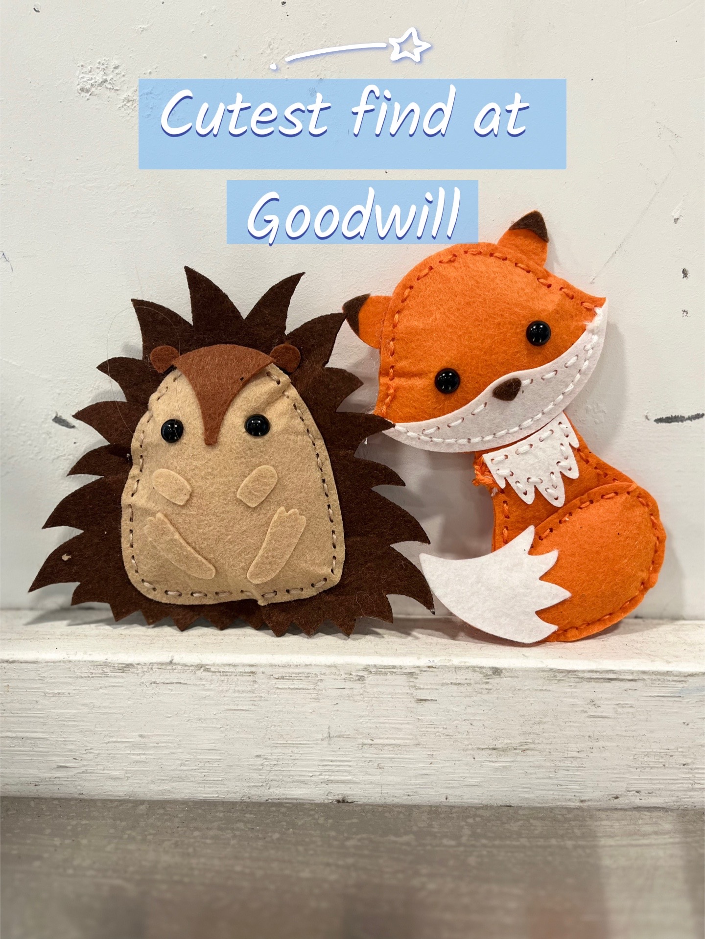 @Lizzy Hedgehog