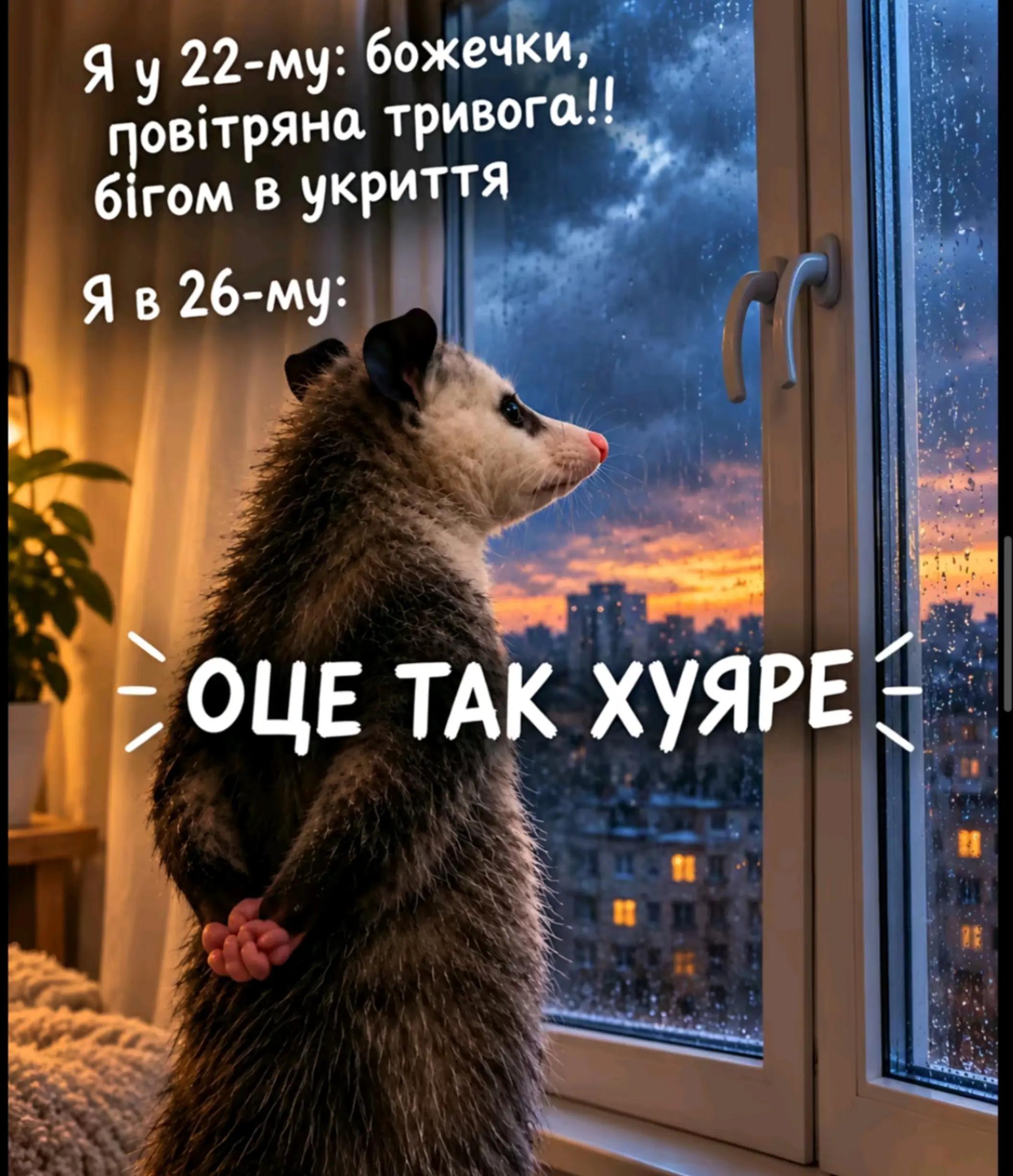 @Yana