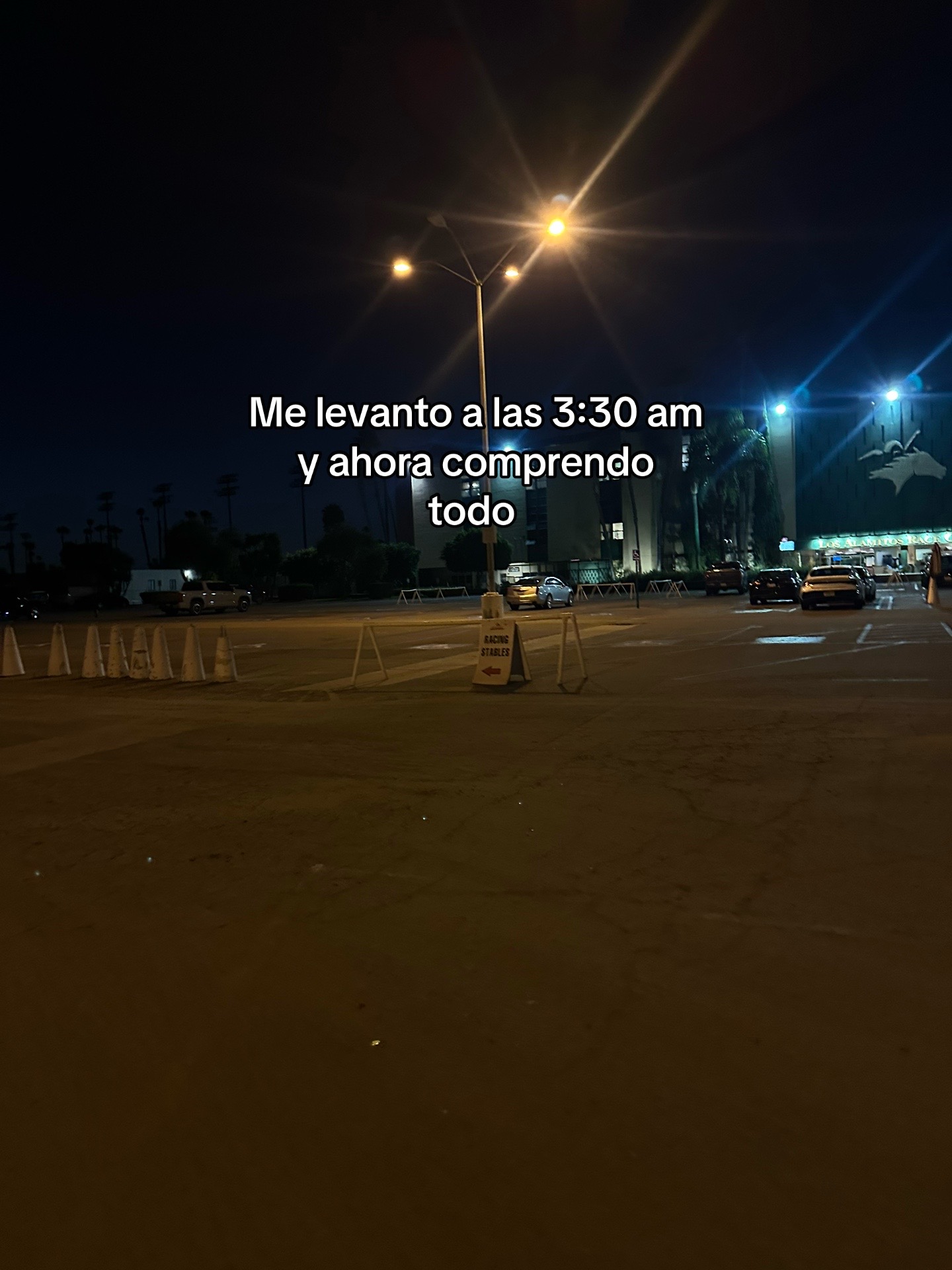@oscar_sxt