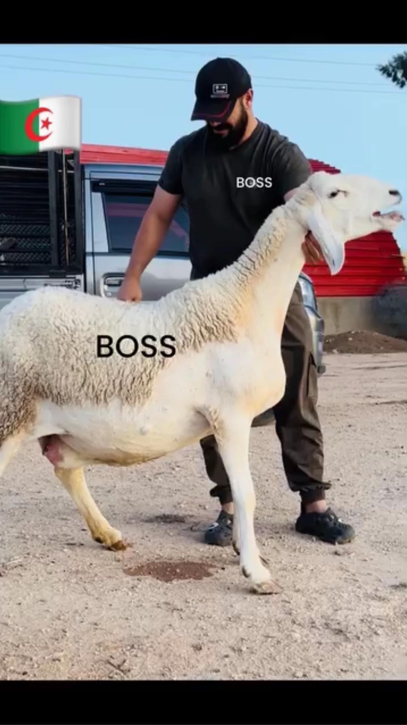 @ياسين بن زيتون