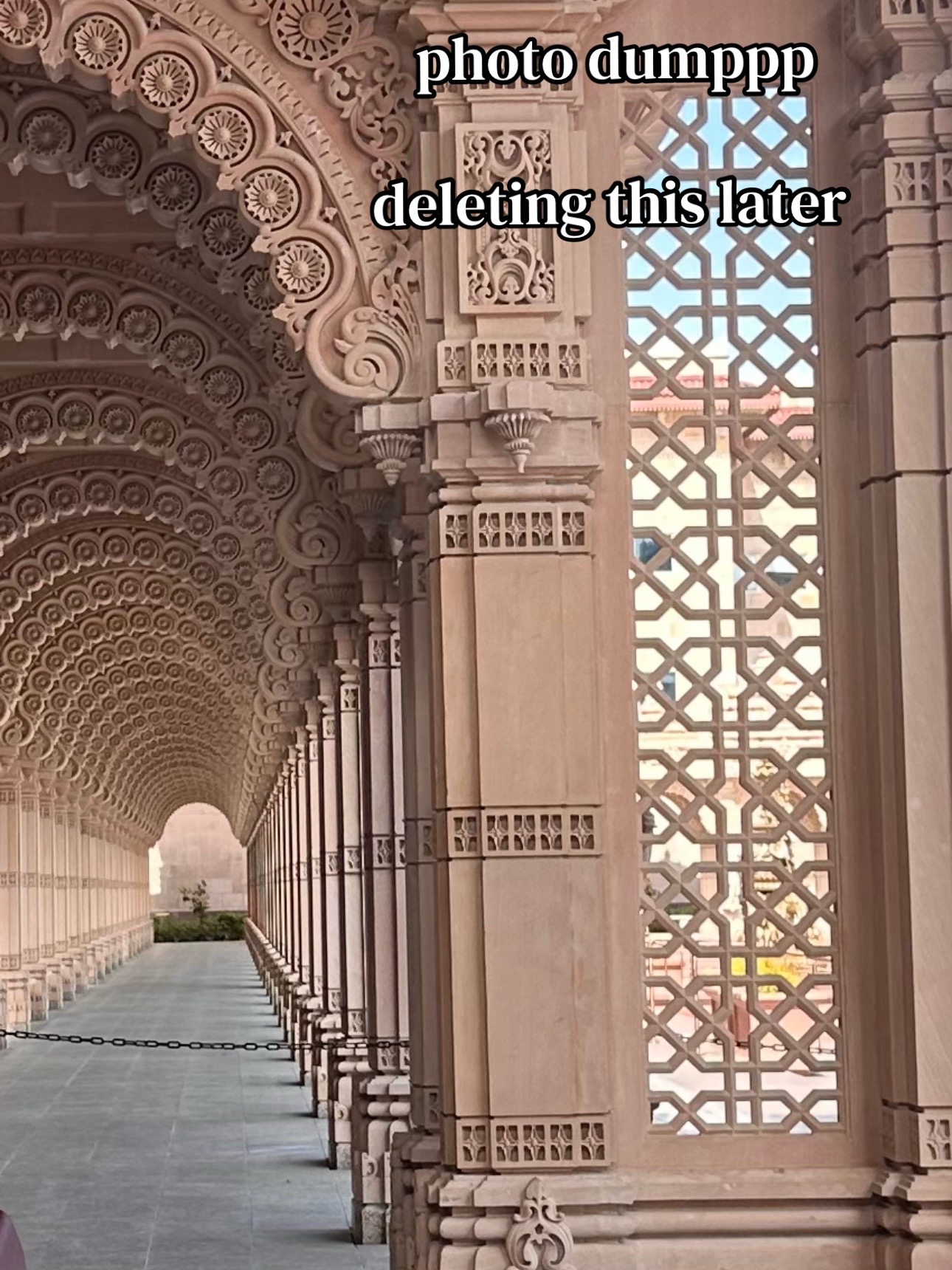 @nova🪽