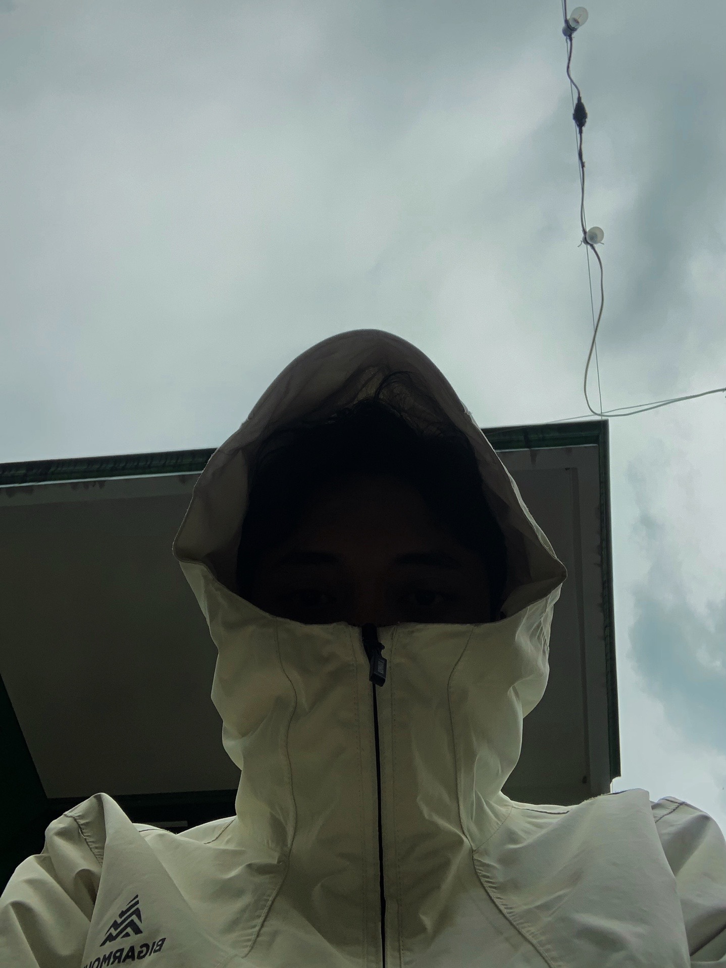 @ayamhitam