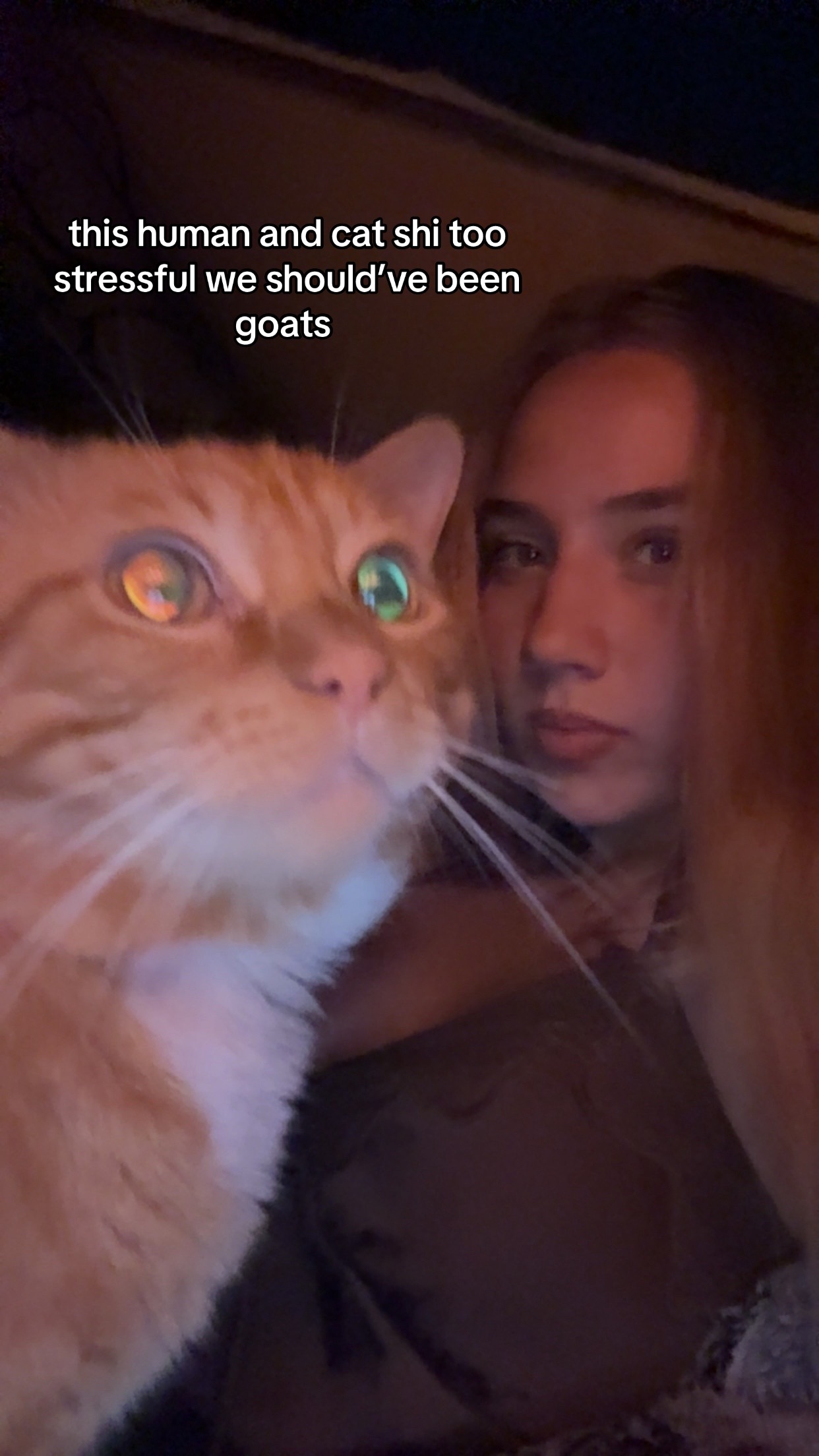 @￼
