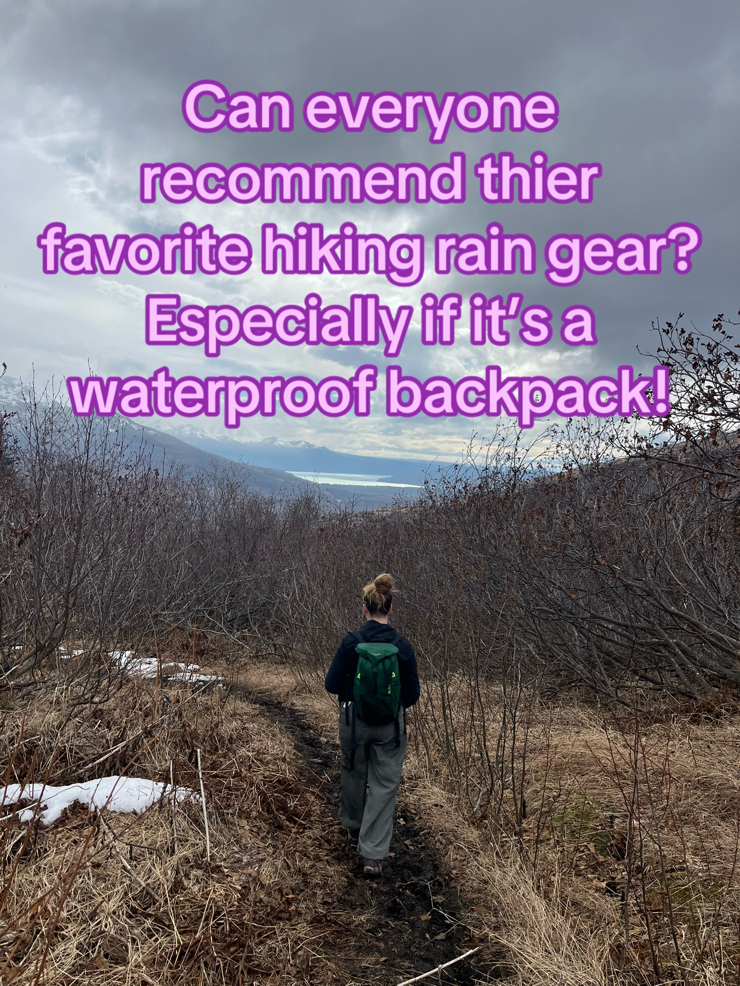 @Chasey Campbell 🏔️🕷️🐾