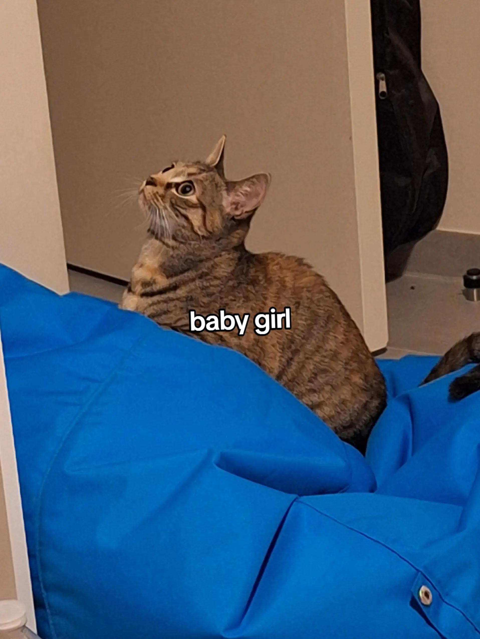 @vinn