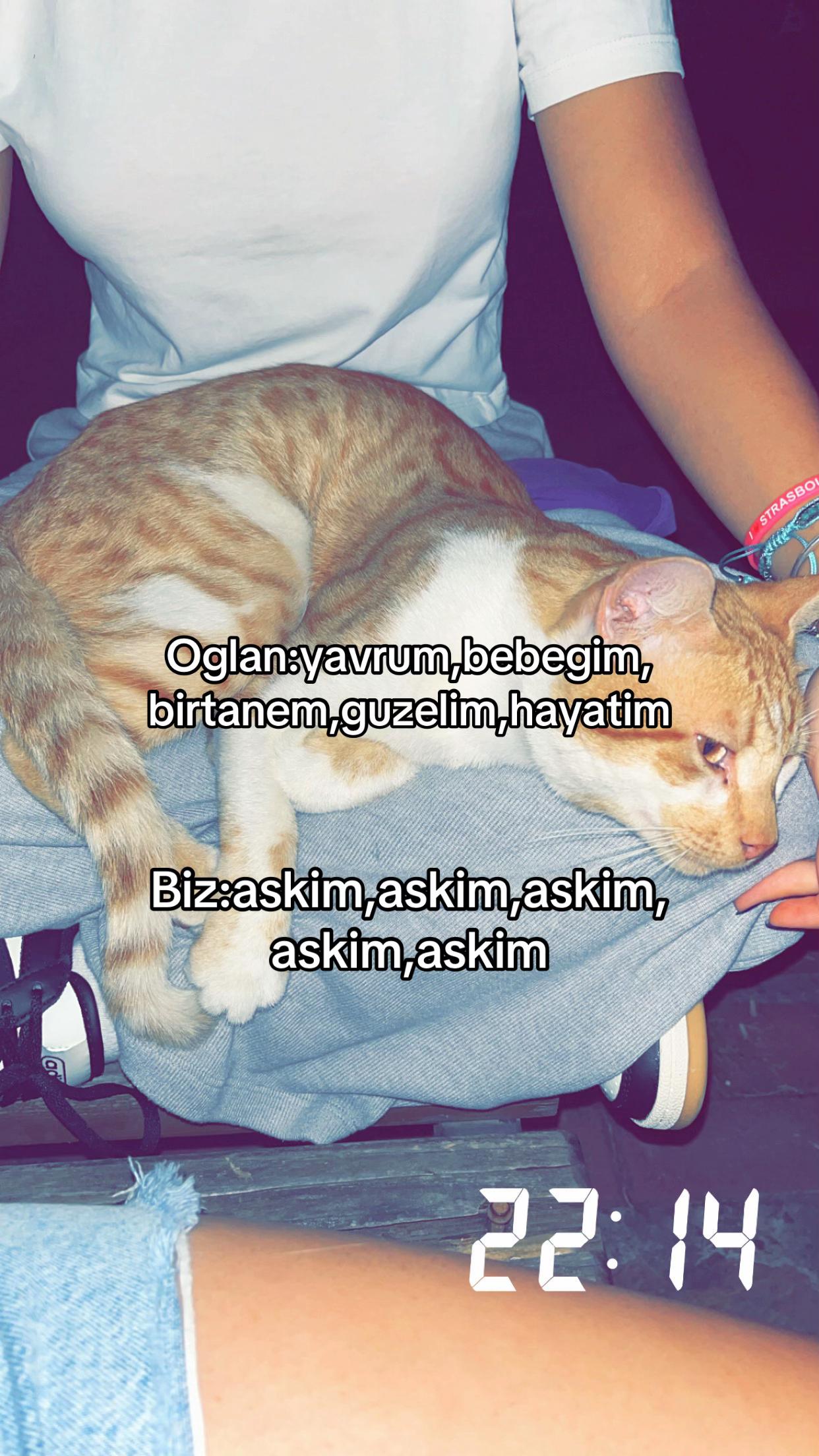 @kuw'