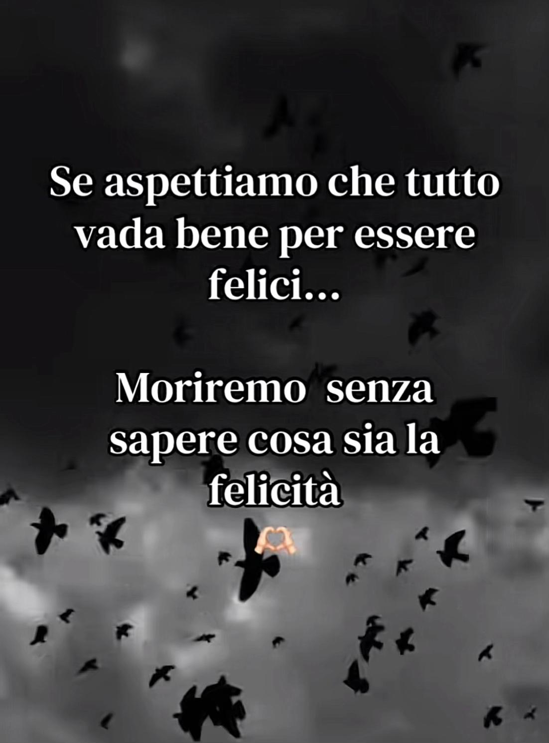 @claudiamorleo653