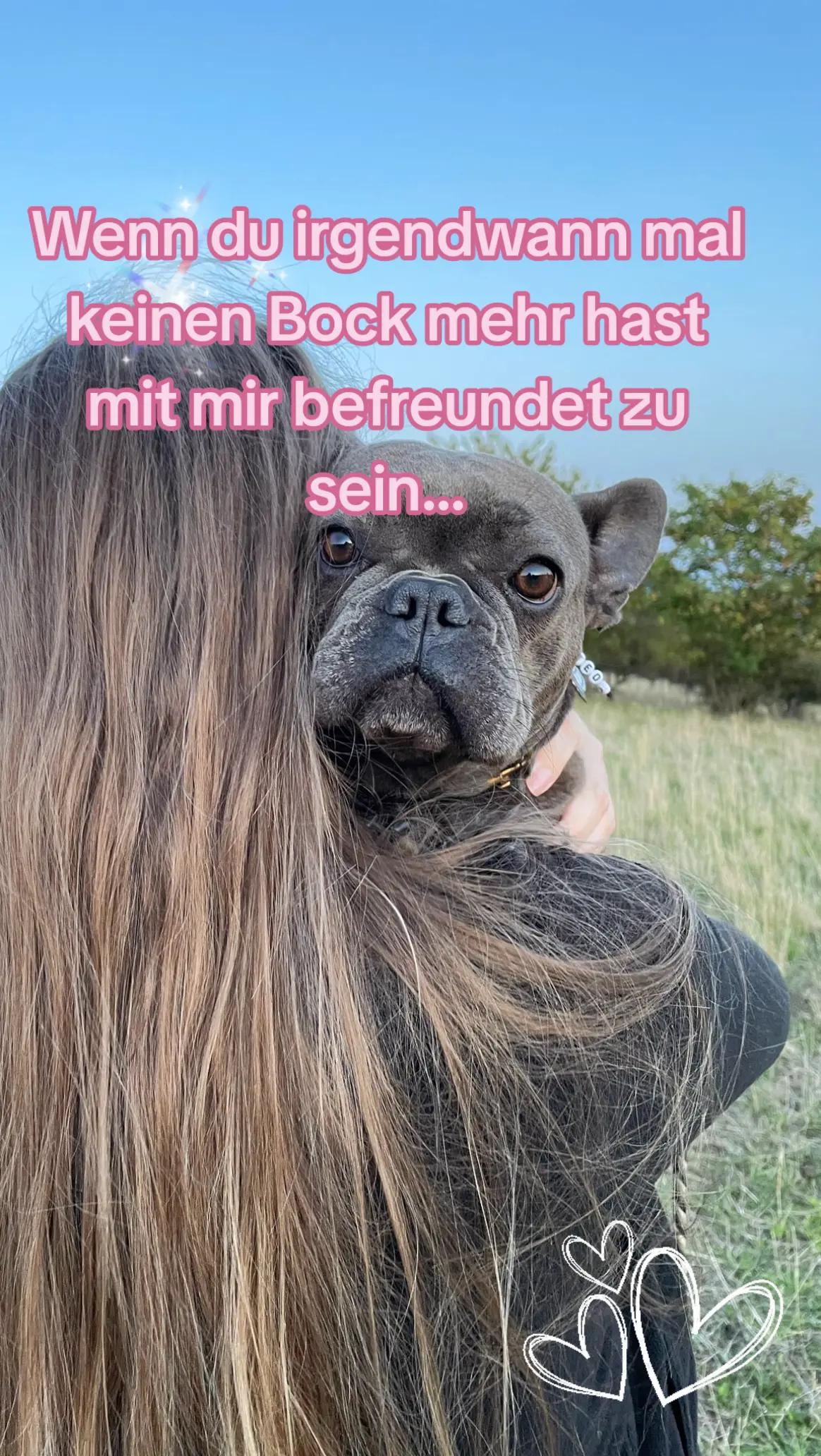 @FrenchieFrieda