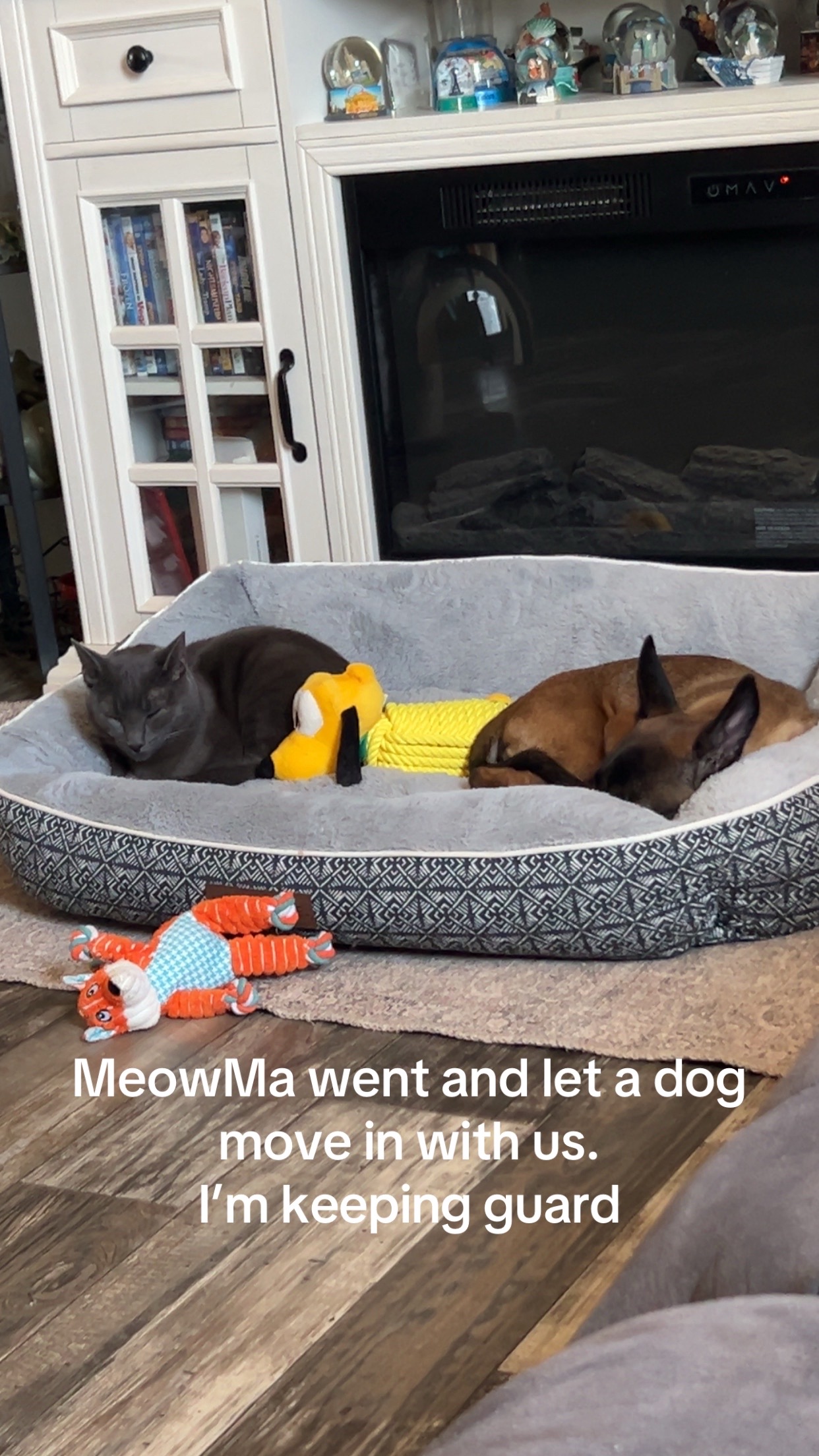 @Smoke Buddy