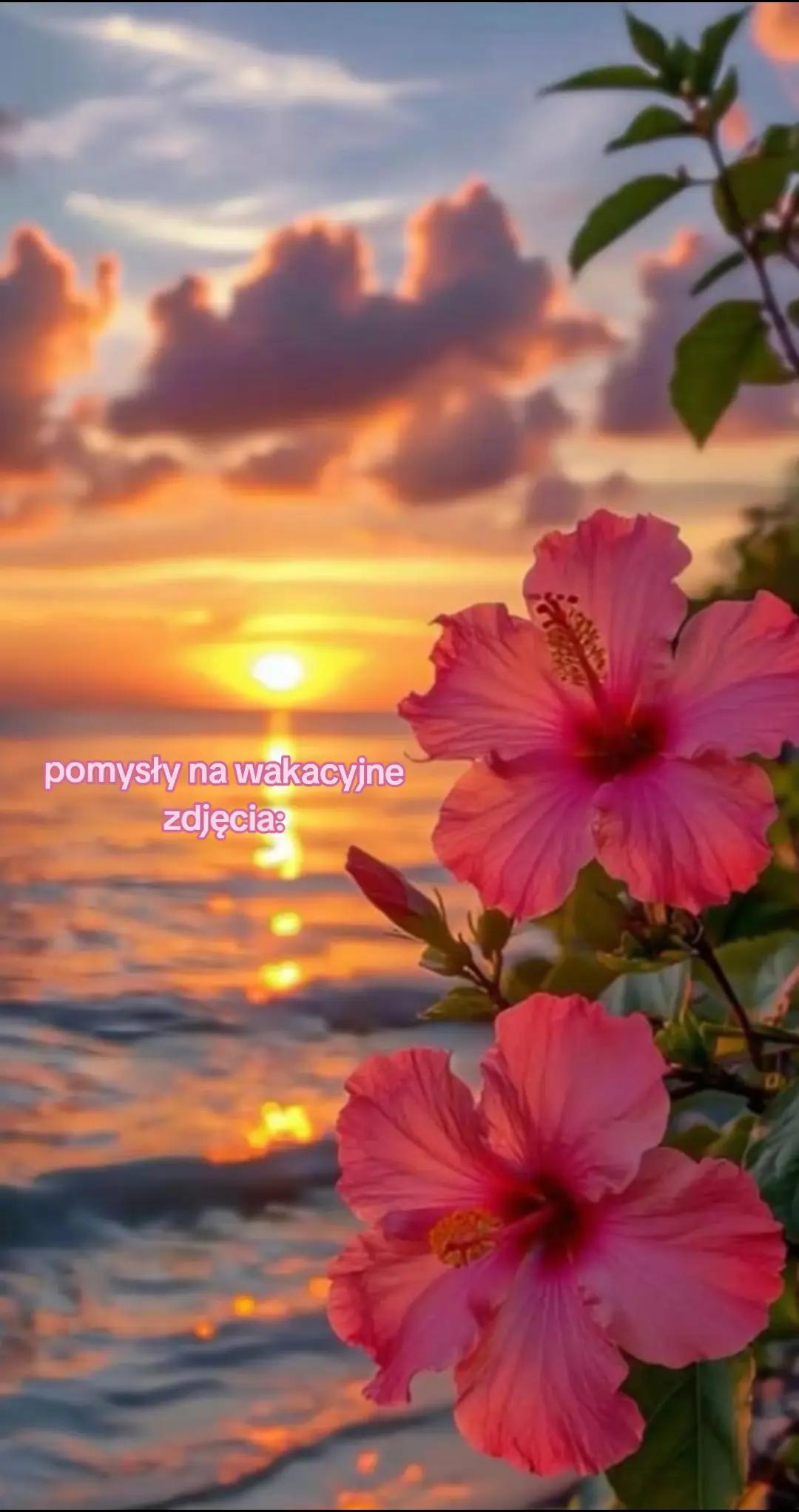 @🌸🌺🌼pintereścianka🌸🌺🌼