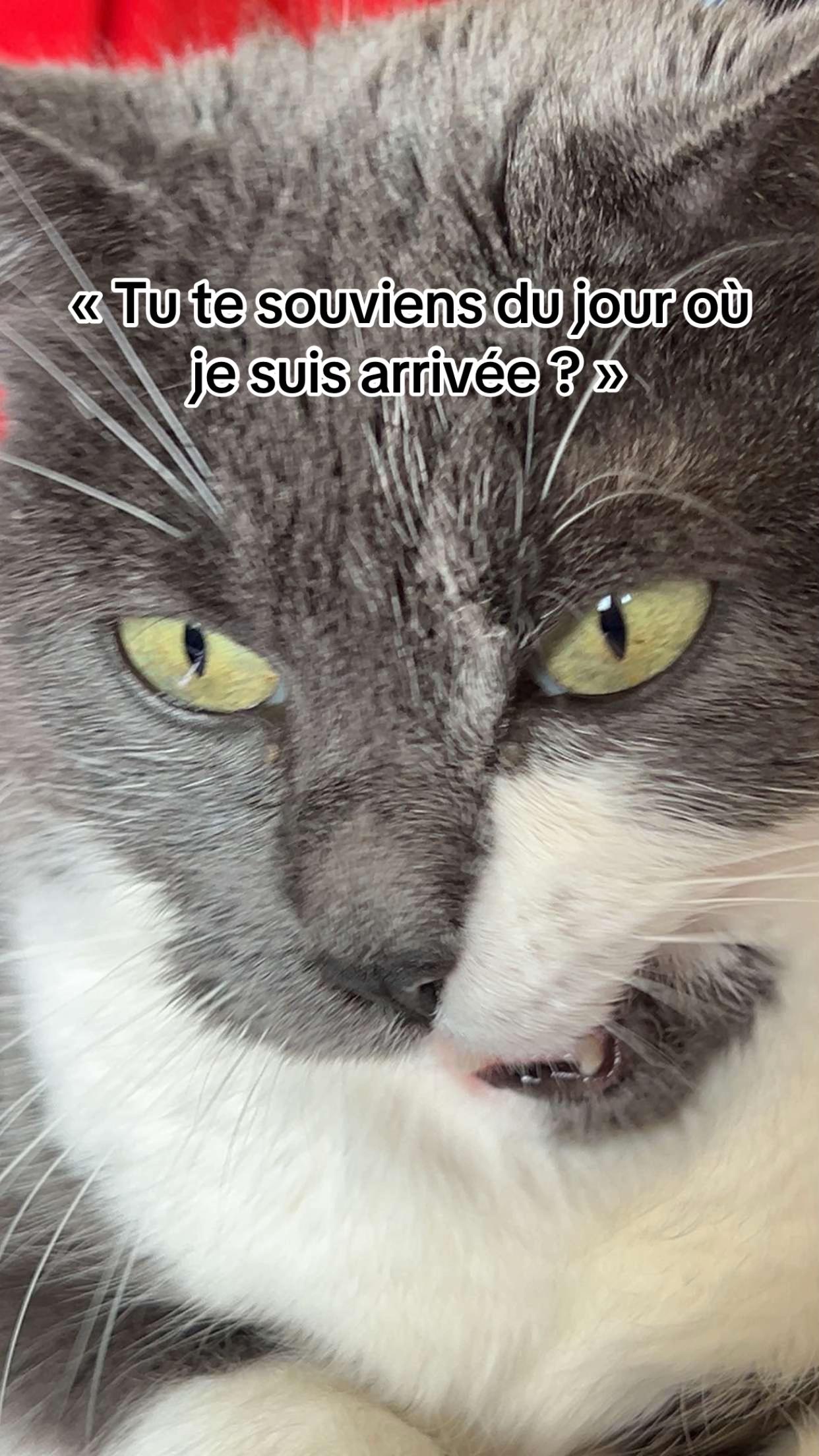 @Valou la meuf fraîche