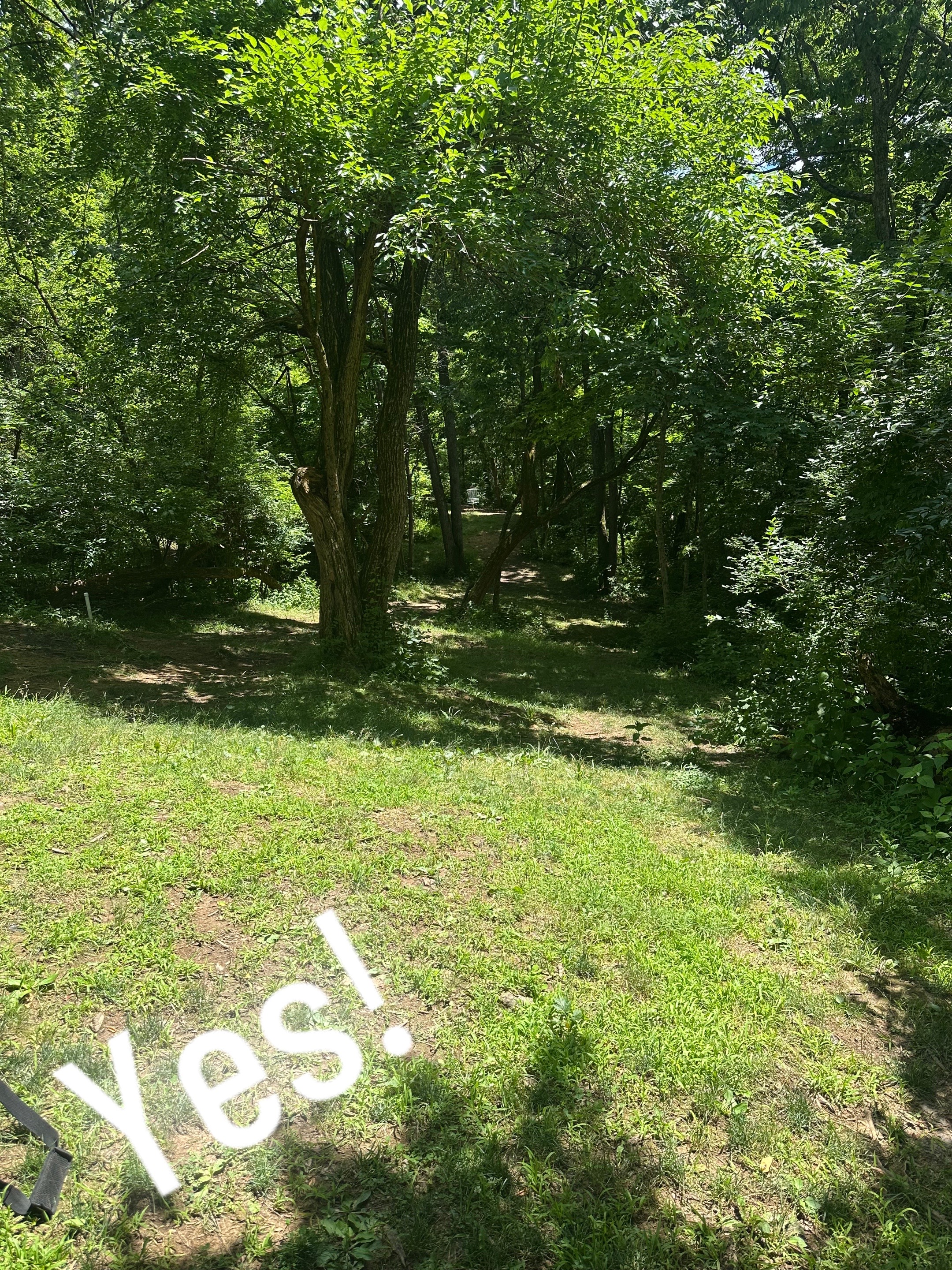 @GruntsinPoppop