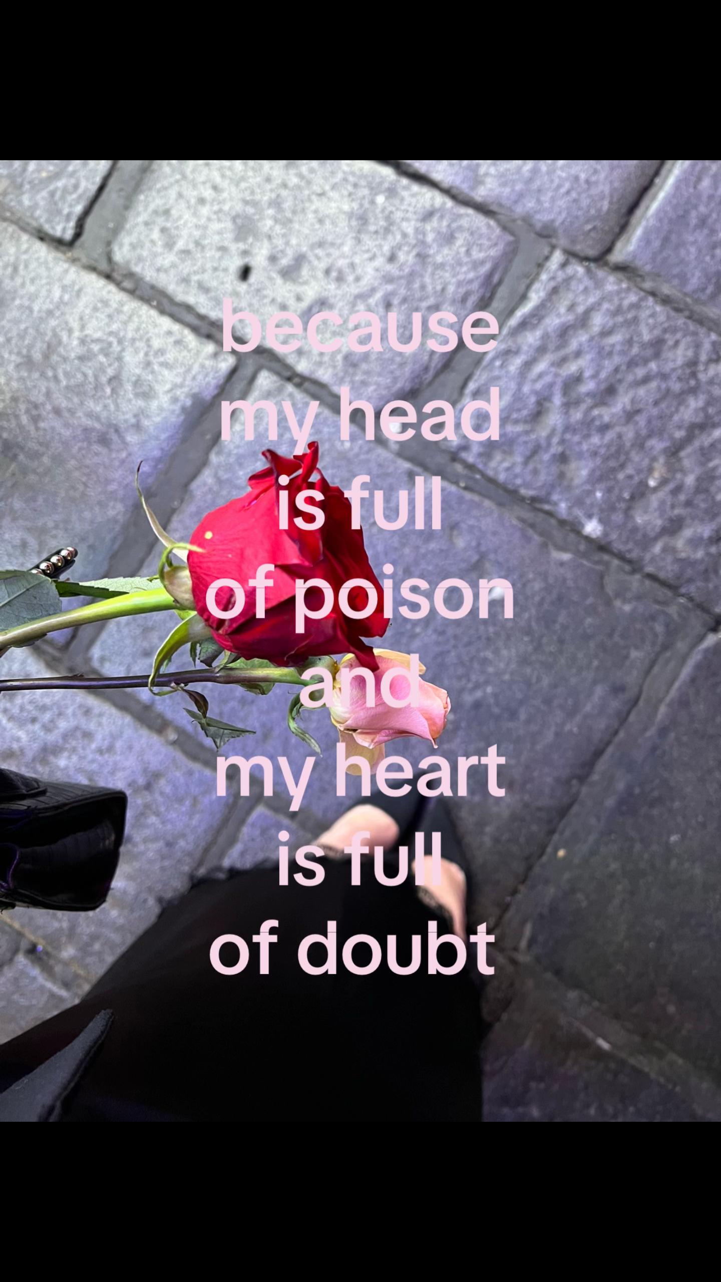 @𝑨𝑵𝑮𝑬𝑳𝑰𝑪𝑨🪽
