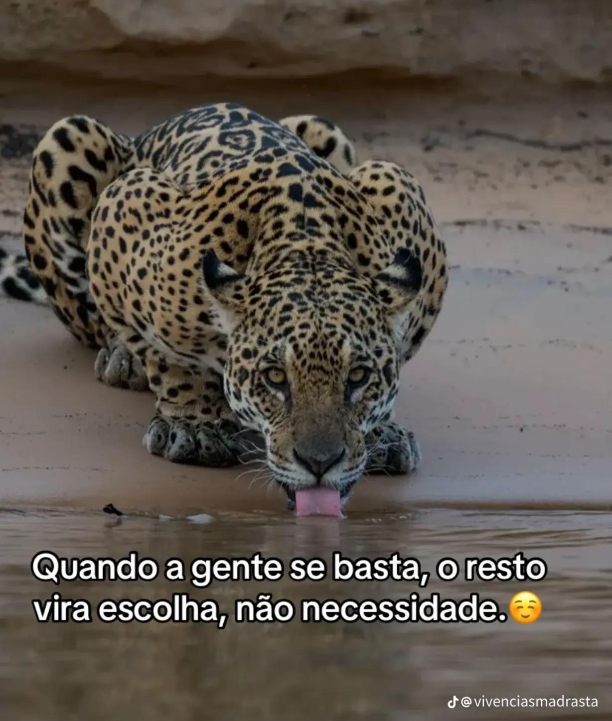 @@erikapereira