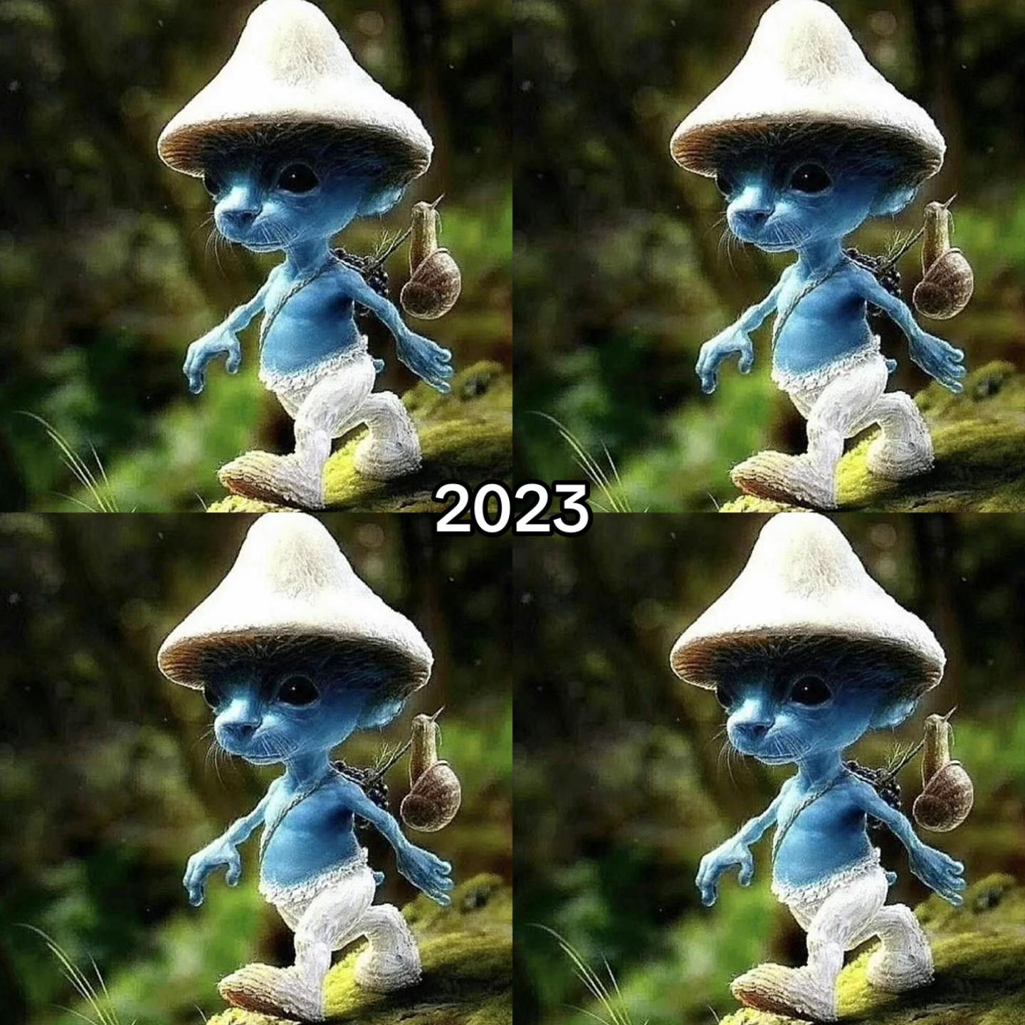 @🤍ྀི