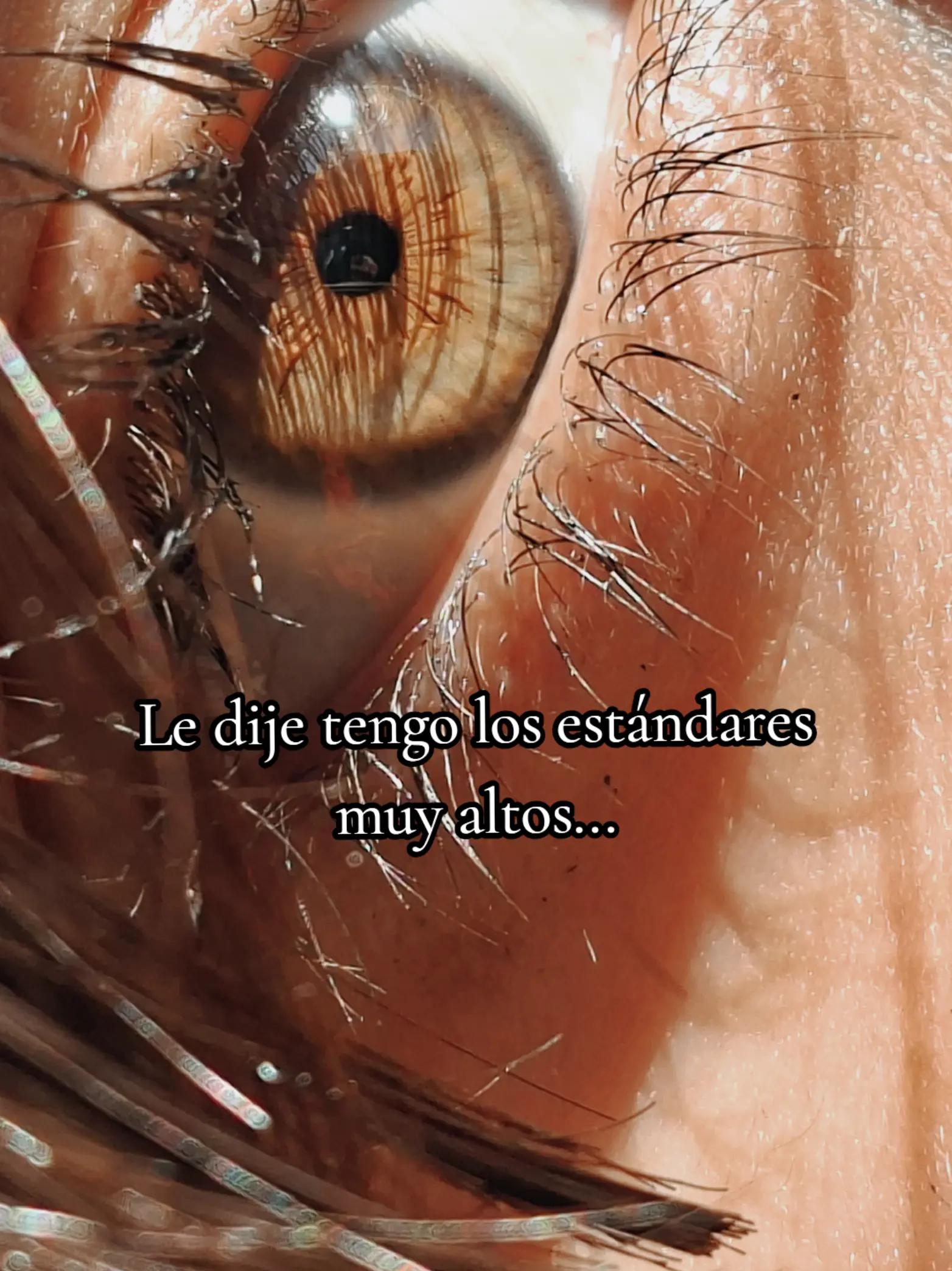 @Aby :3