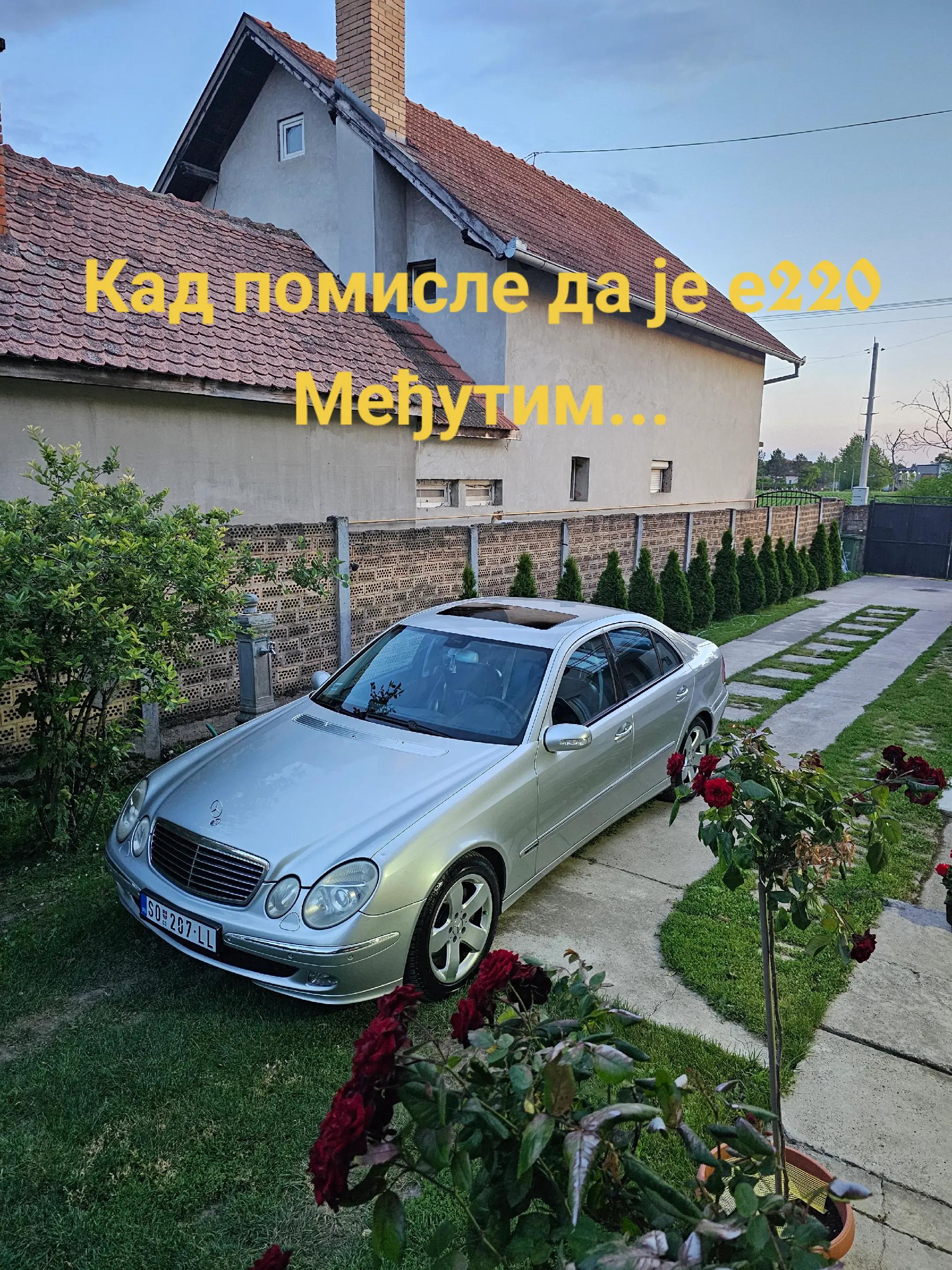 @automanijak