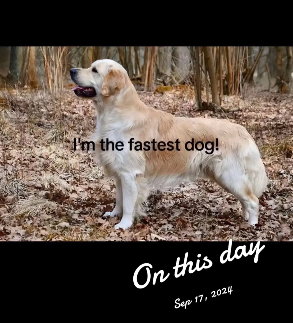 @Dylanthebeast21