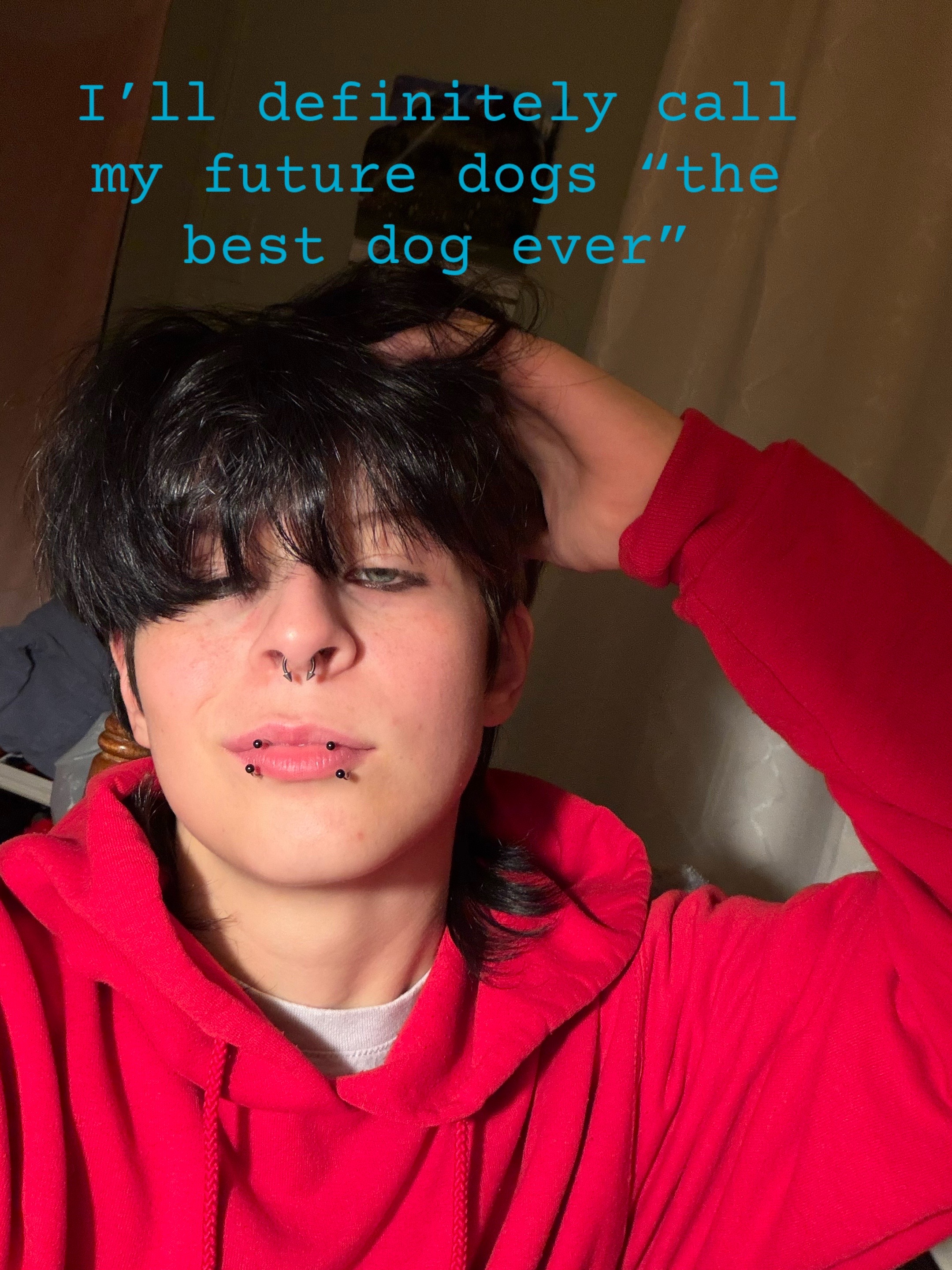 @⭐️Noah🦇