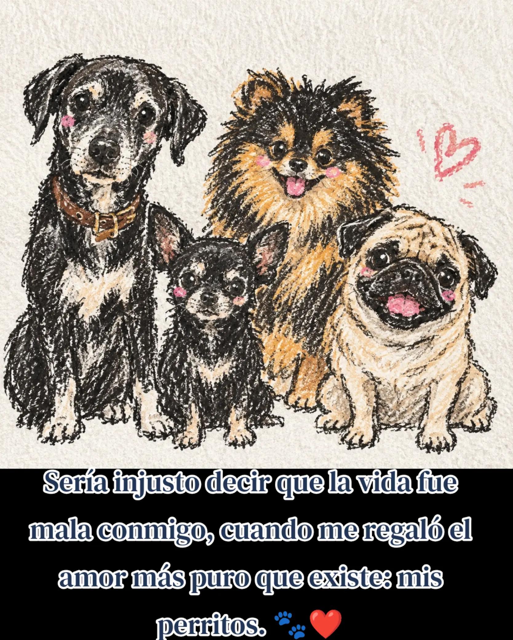 @Susanita