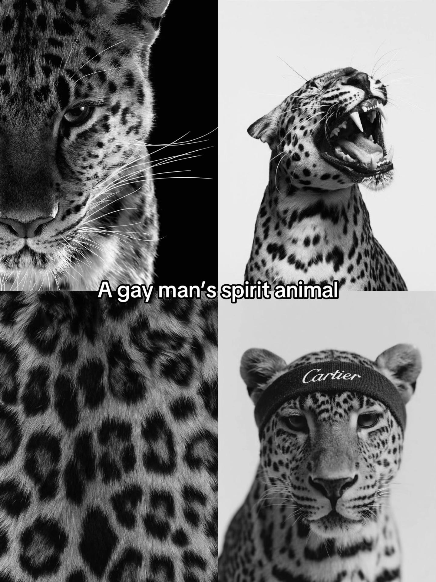 @𝓐𝓻𝓶𝓪𝓷𝓲