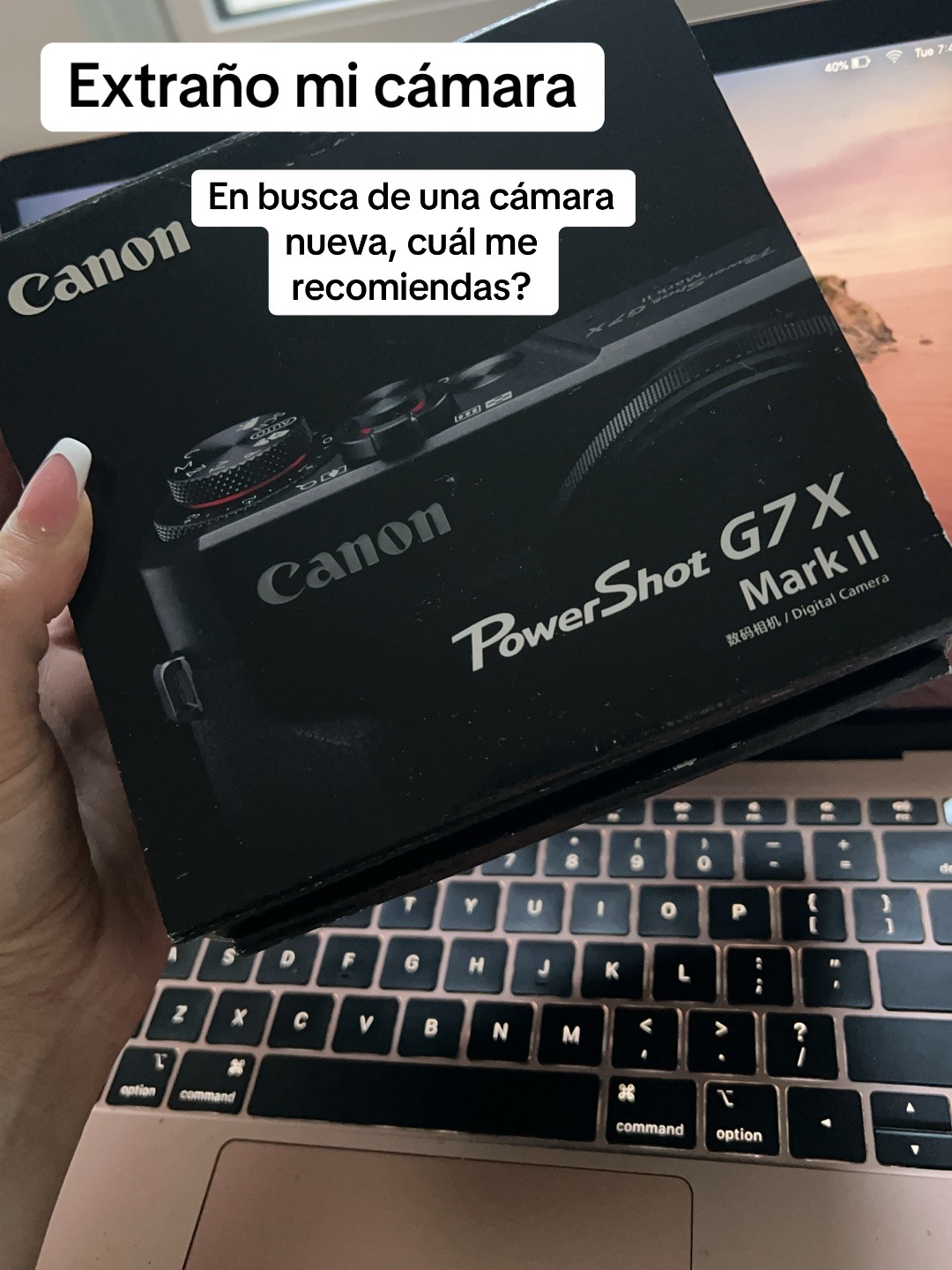 @Alejandra