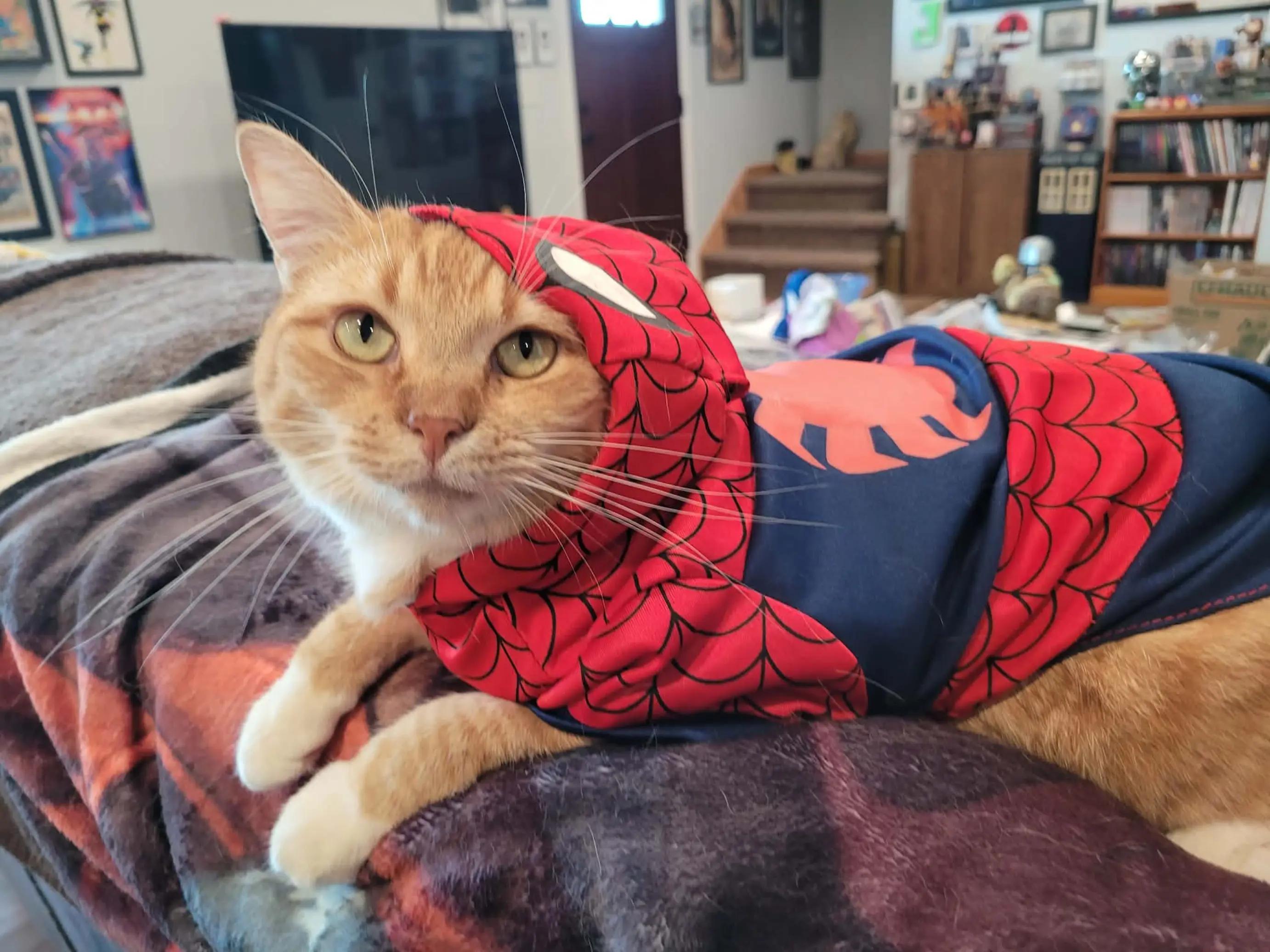 @coagie42