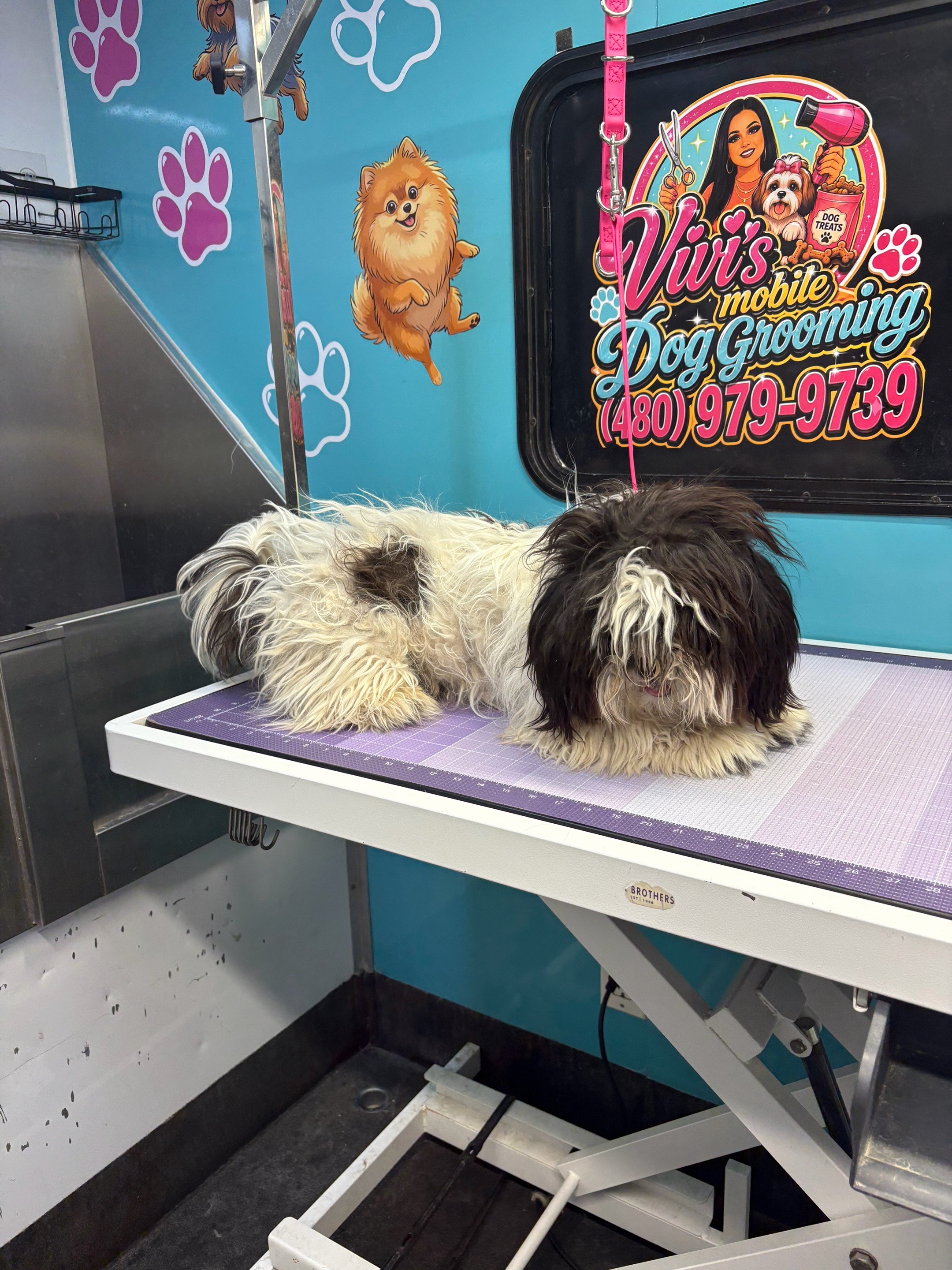 @Vivismobiledoggrooming