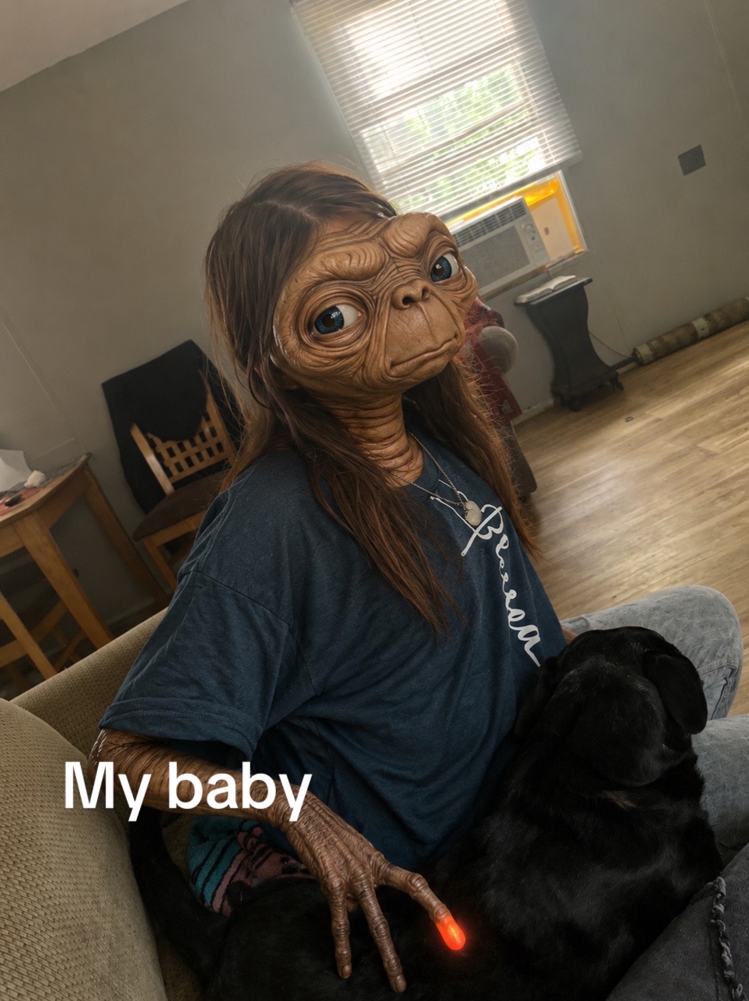 @yvlk5_