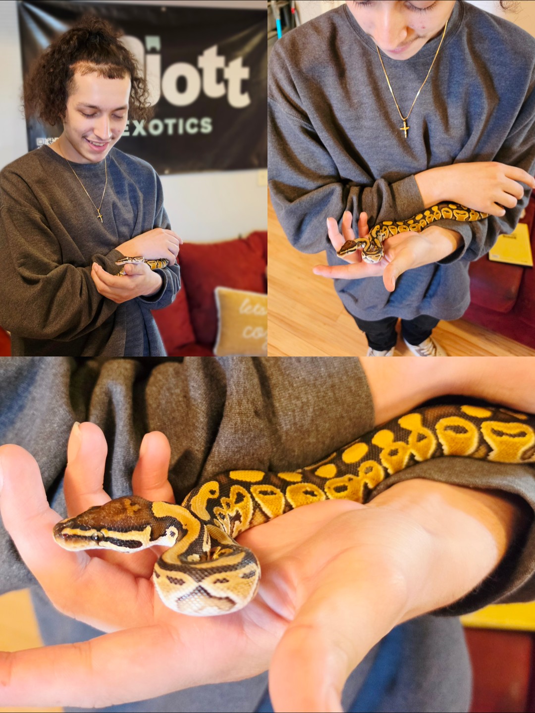 @Elliott Exotics