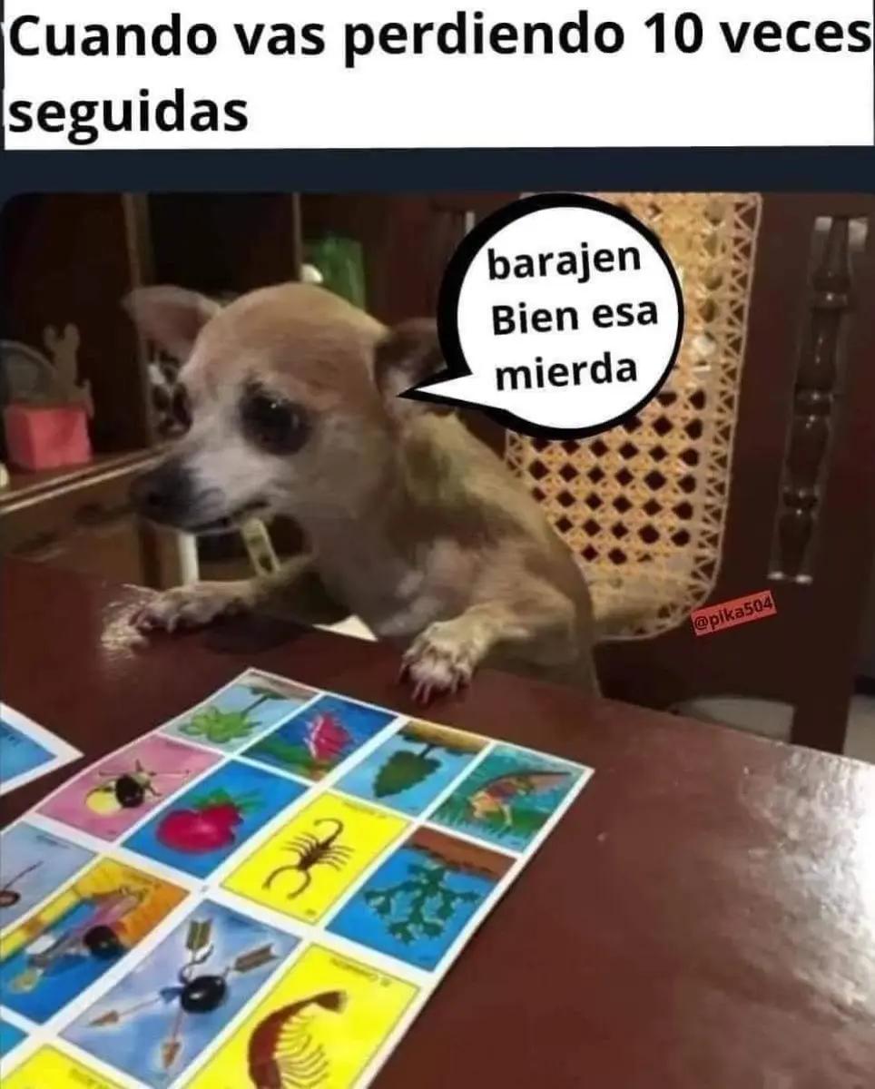 @🐉pedrito portillo 🌌🪽👑